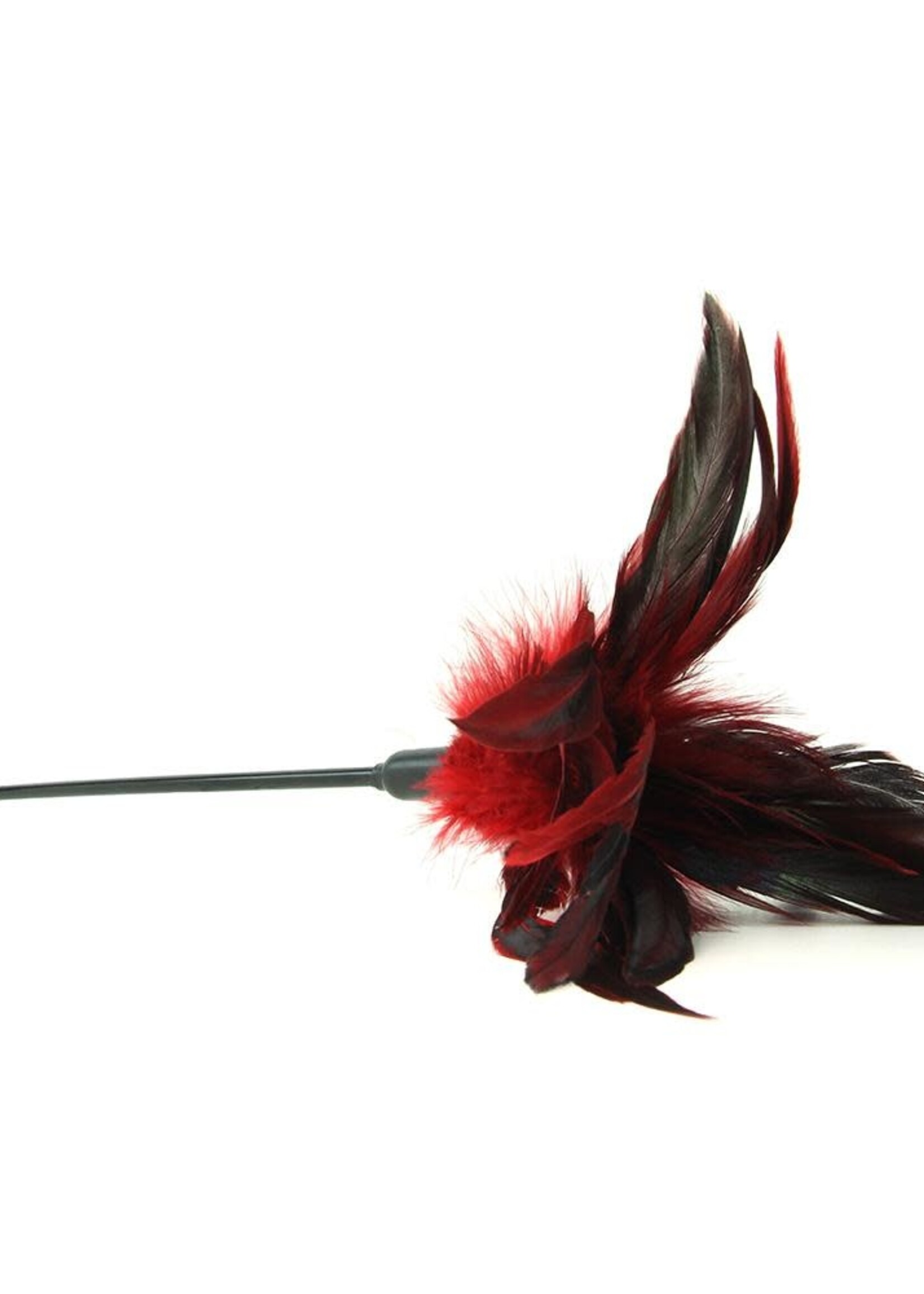 Sportsheets Starburst Feather Red