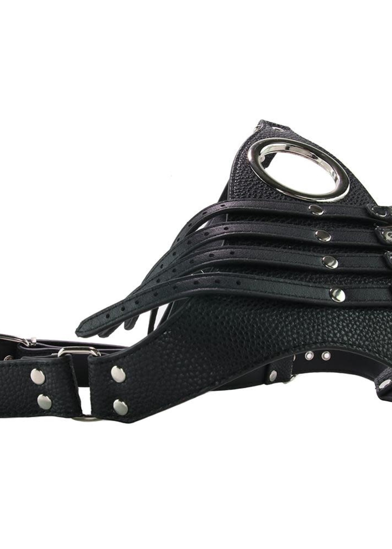 Strict Strict - Male Chasity Harness