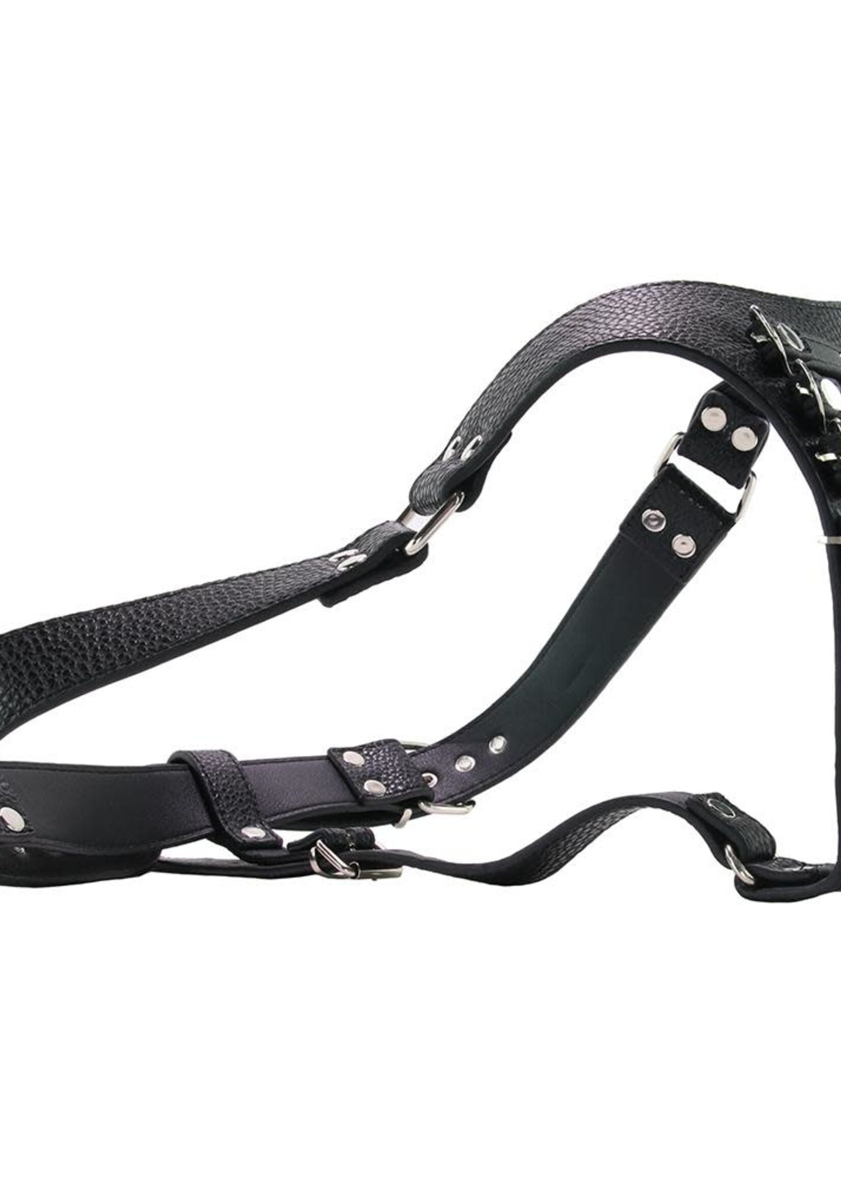 Strict Strict - Male Chasity Harness