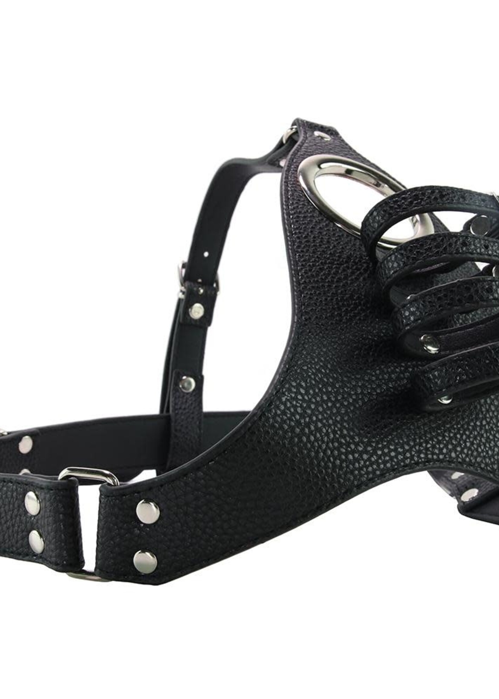 Strict Strict - Male Chasity Harness