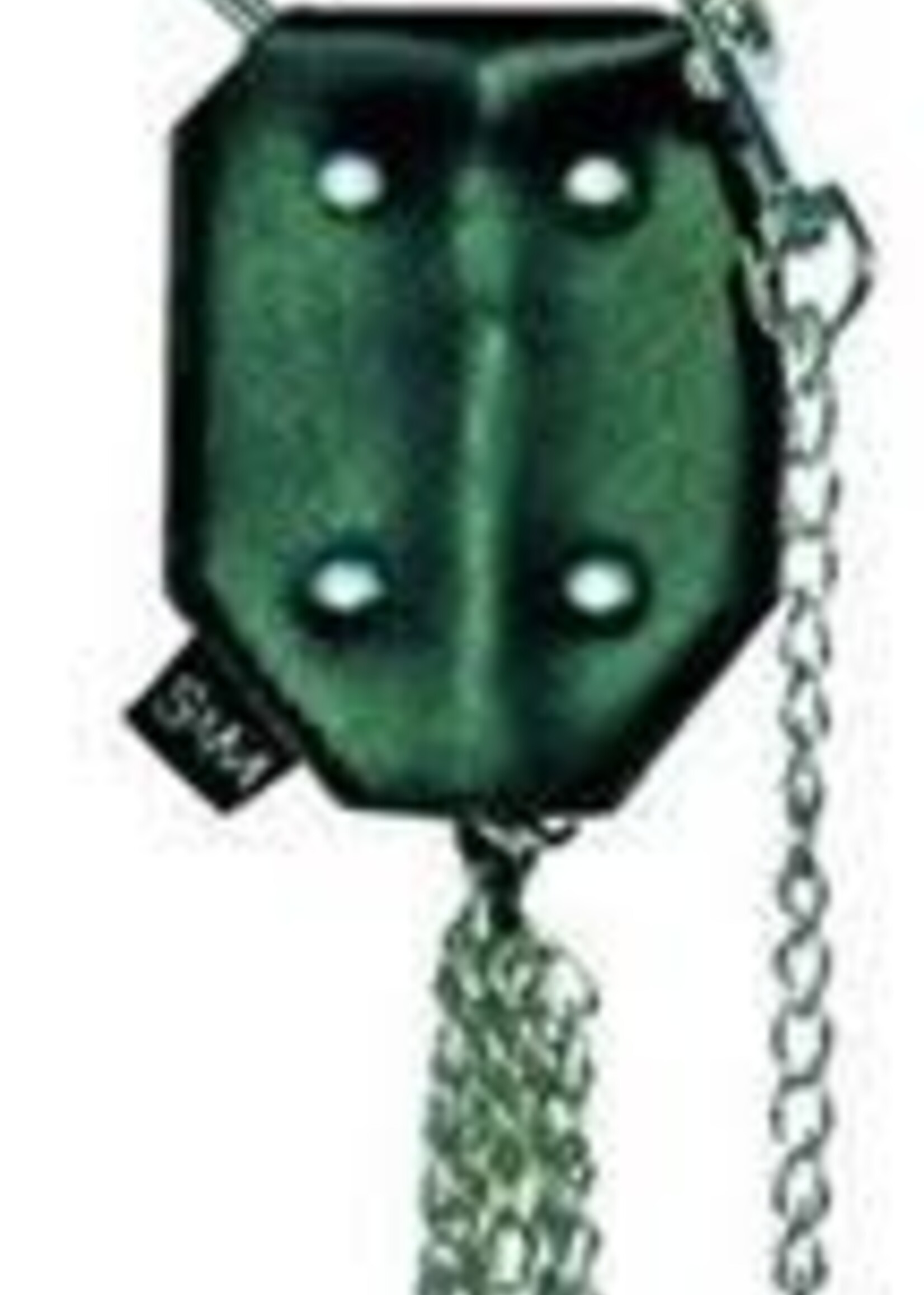 Sex & Mischief by Sportsheets Sex & Mischief Ring Leash
