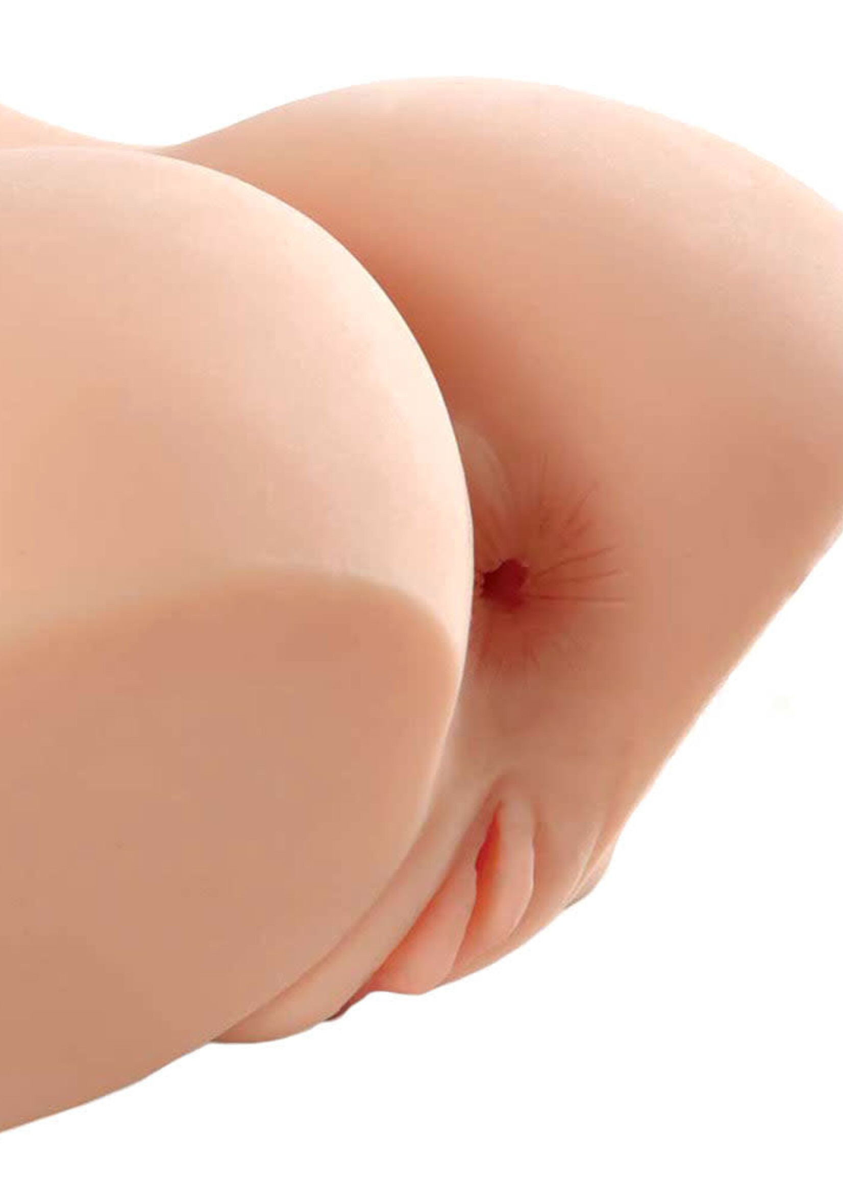 PDX Plus - Perfect 10 Torso - Light