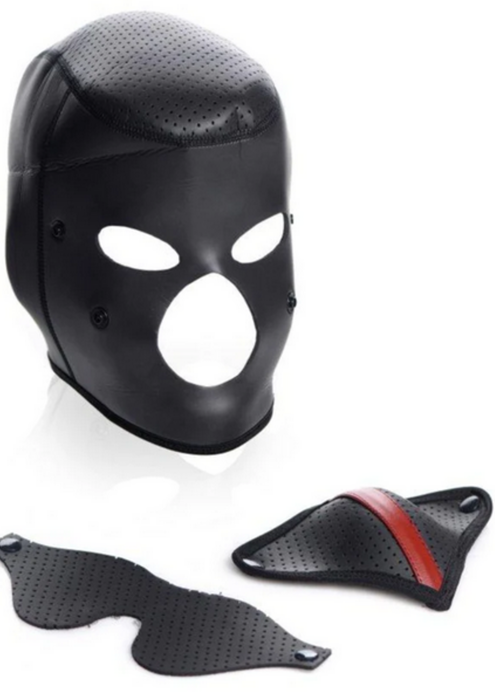 Master Series - Scorpion Hood w Removable Blindfold/Mask