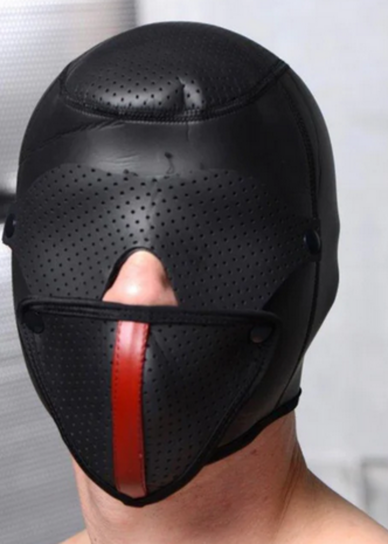 Master Series - Scorpion Hood w Removable Blindfold/Mask