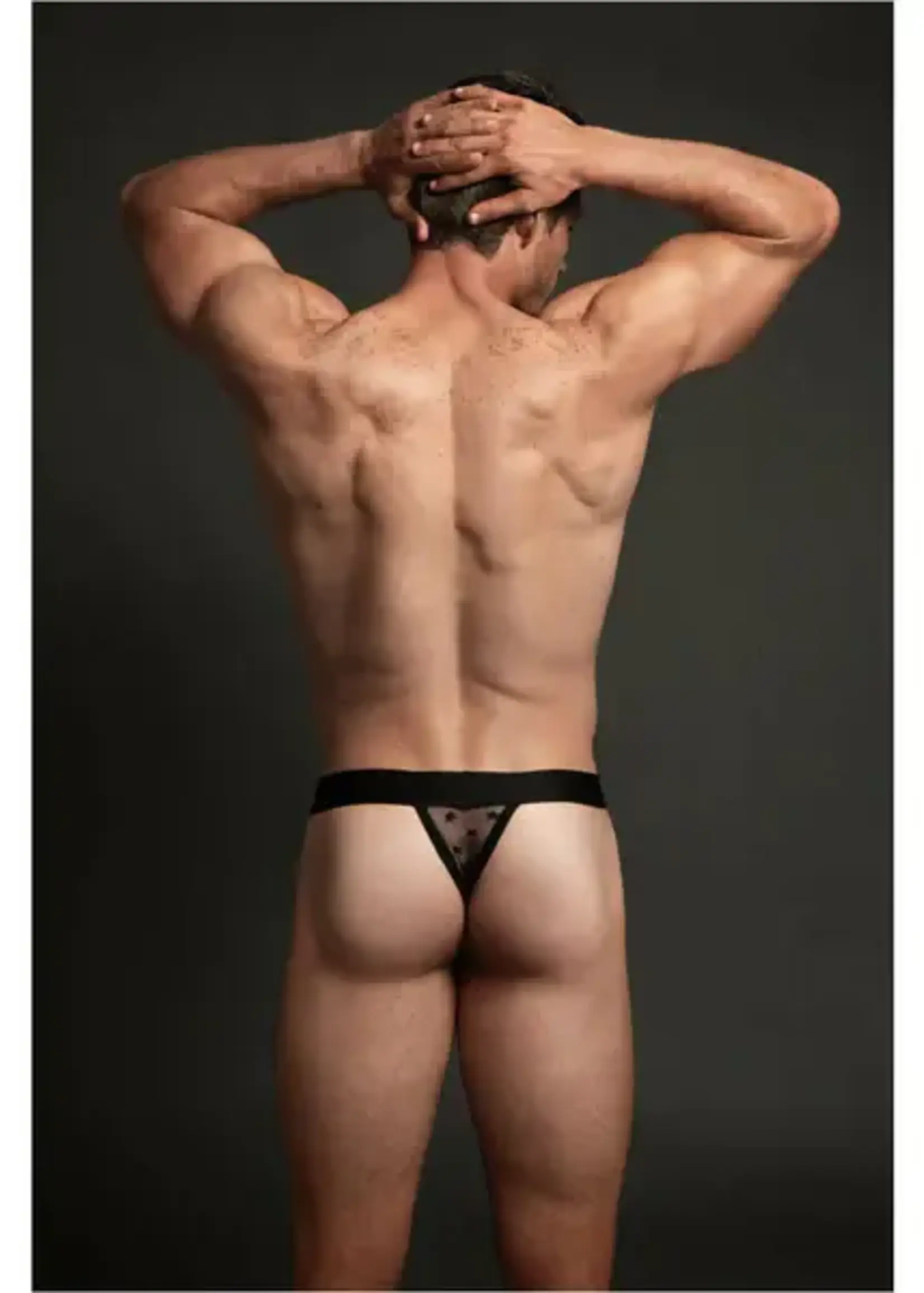 Allure Lingerie Allure - Luca Men's Star Thong - S/M