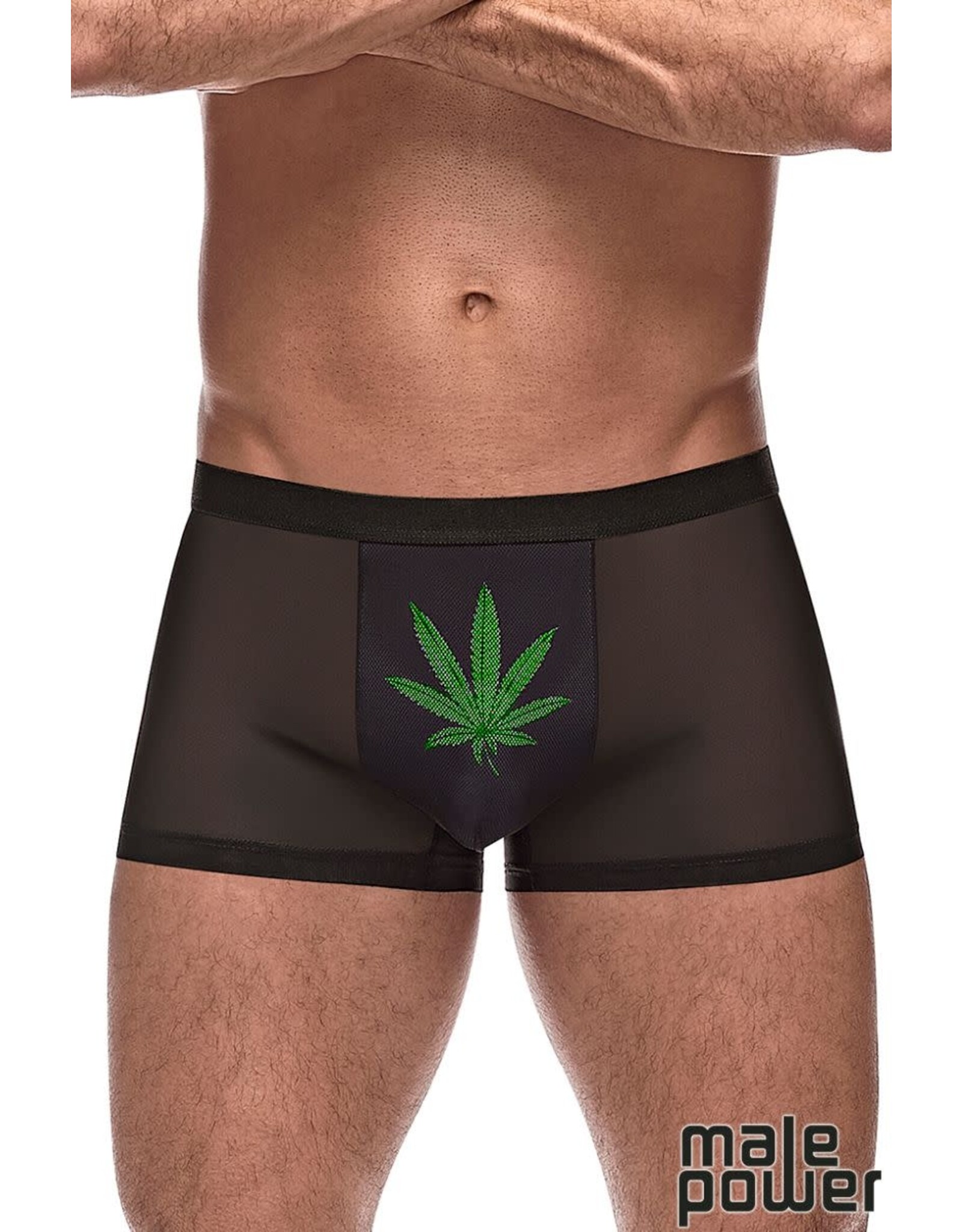 Male Power - Private Screening Weed Leaf Short - Large