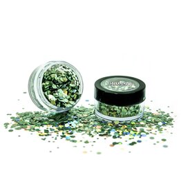 Glitter Me Up Glitter Me Up - Holographic Glitter 3g - Green Envy