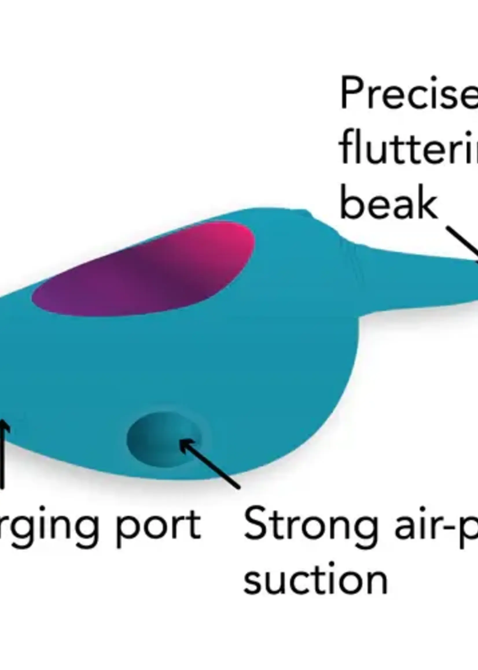 Caress Hummingbird Clitoral Stimulator - Teal