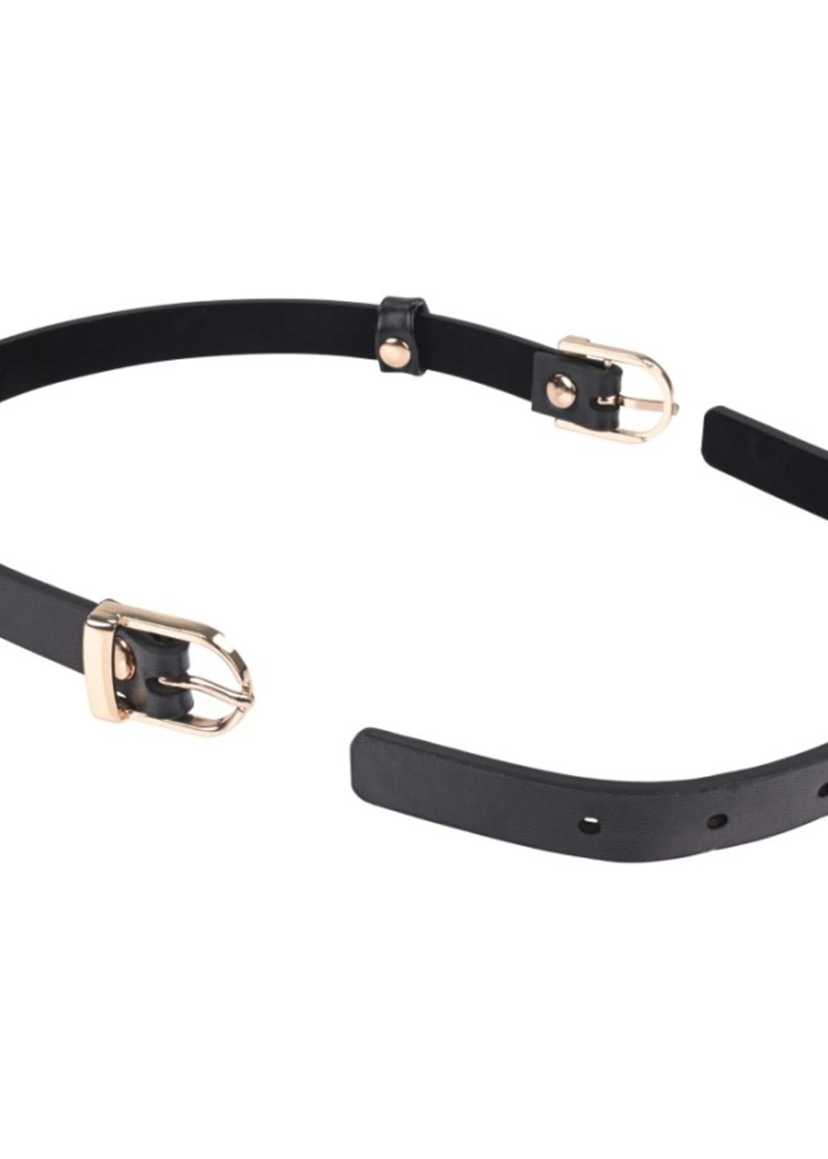 Sportsheets Sportsheets - S&M Double Buckle Day Collar