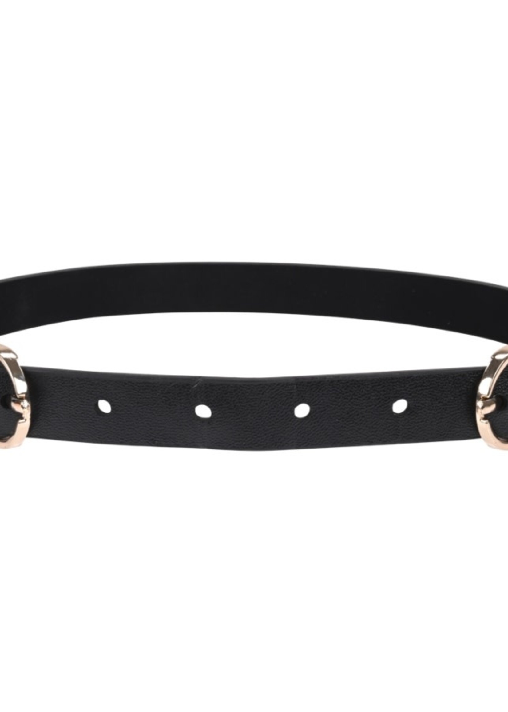 Sportsheets Sportsheets - S&M Double Buckle Day Collar