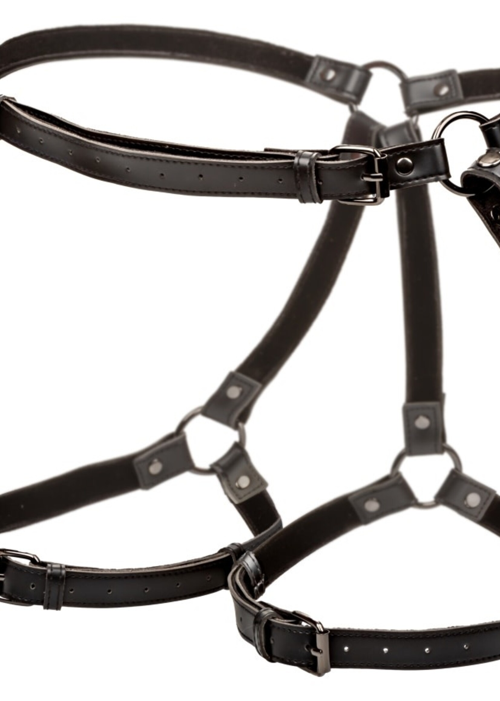 Calexotics Euphoria Collection - Riding Thigh Harness