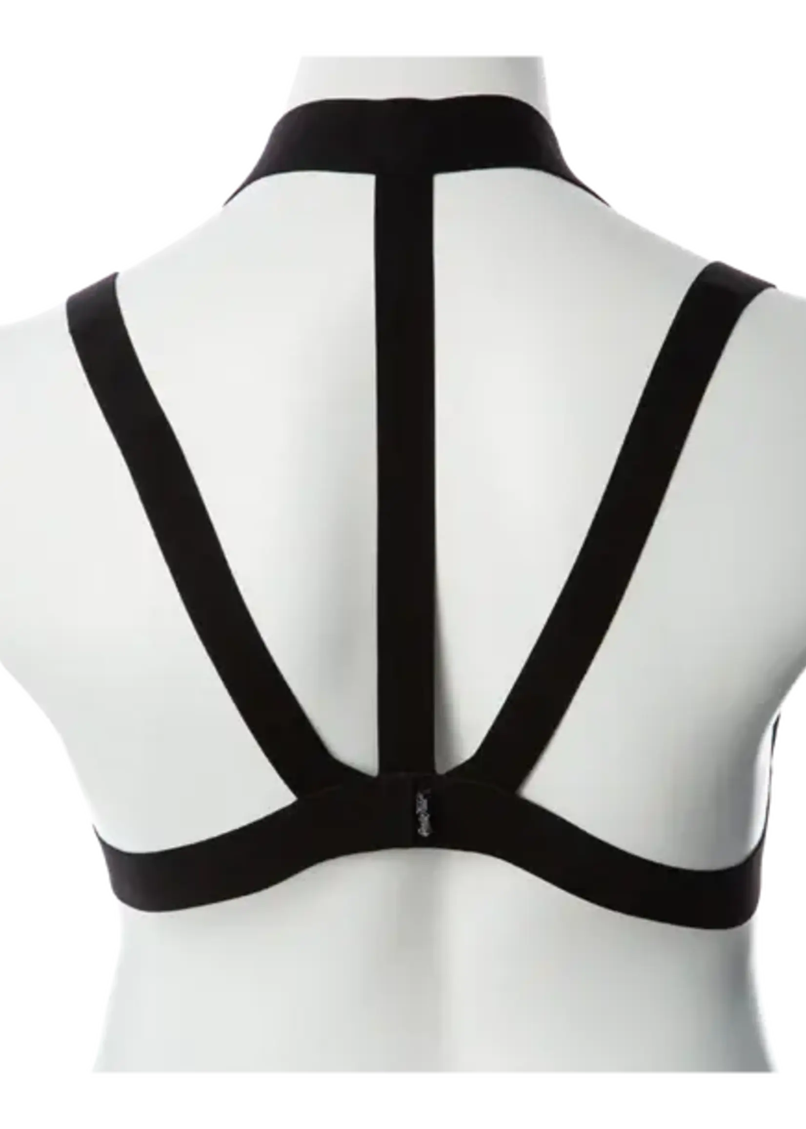 Gender Fluid Majesty Harness - S-L