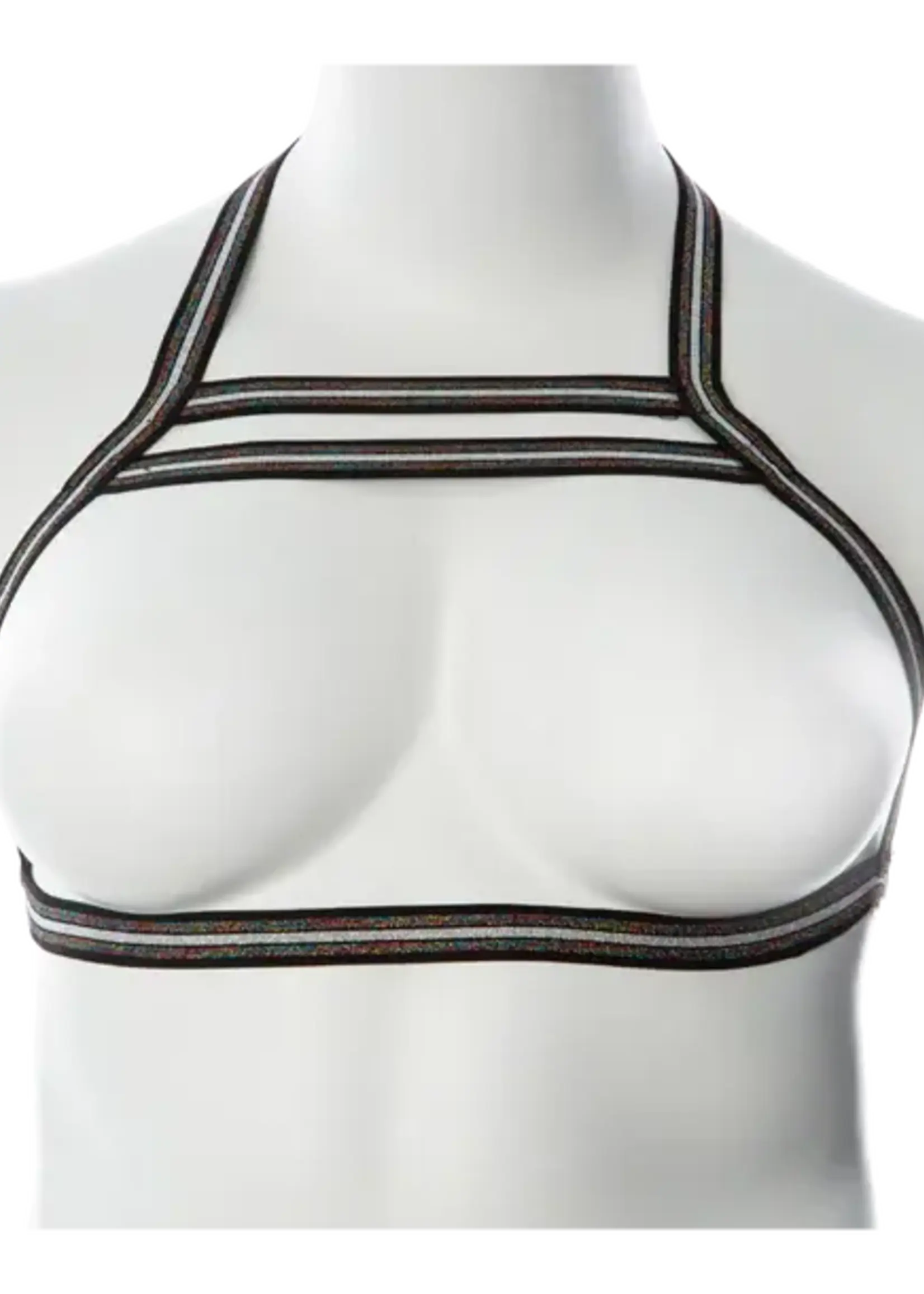 Gender Fluid Silver Lining Harness - S-L