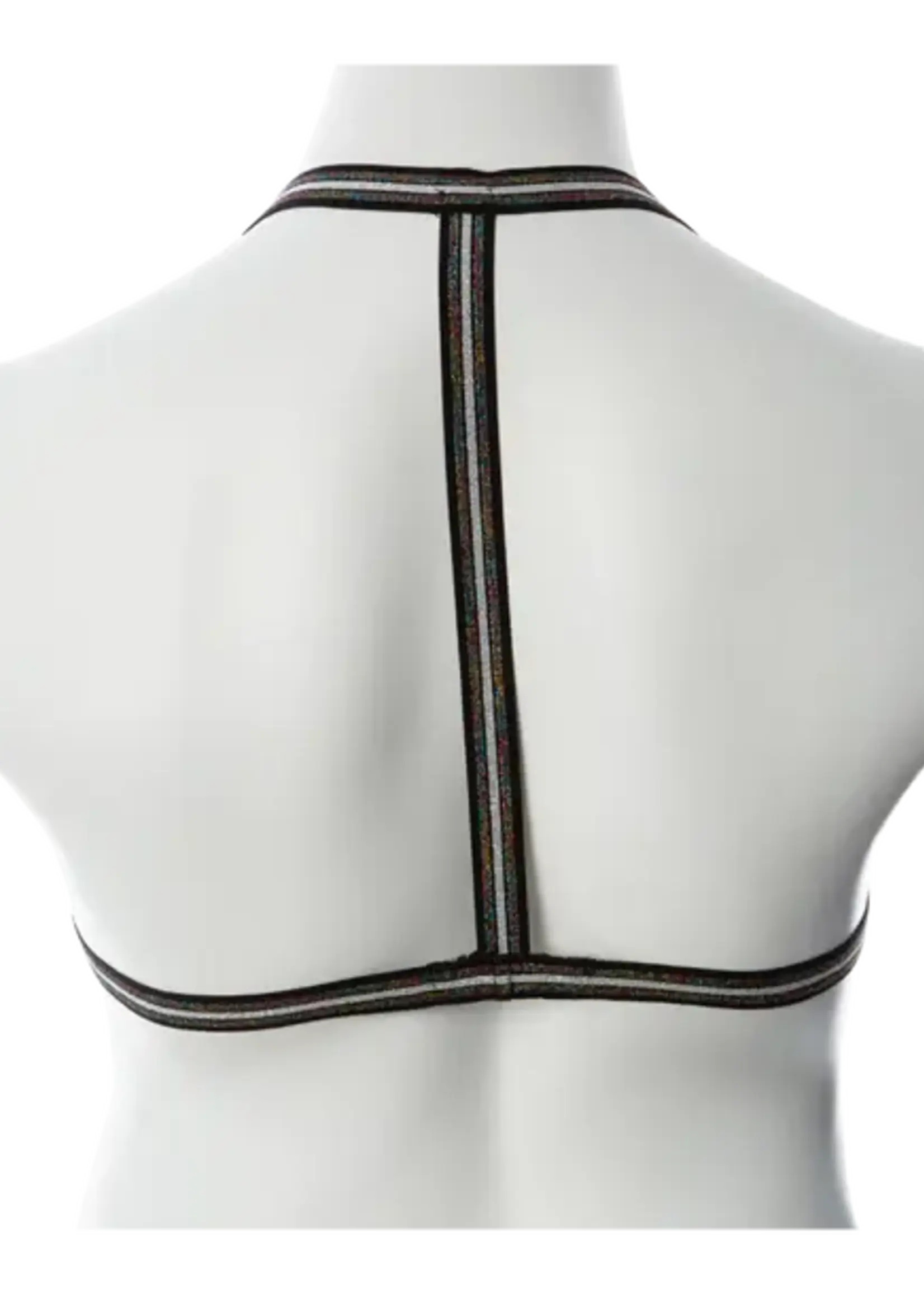 Gender Fluid Silver Lining Harness - S-L