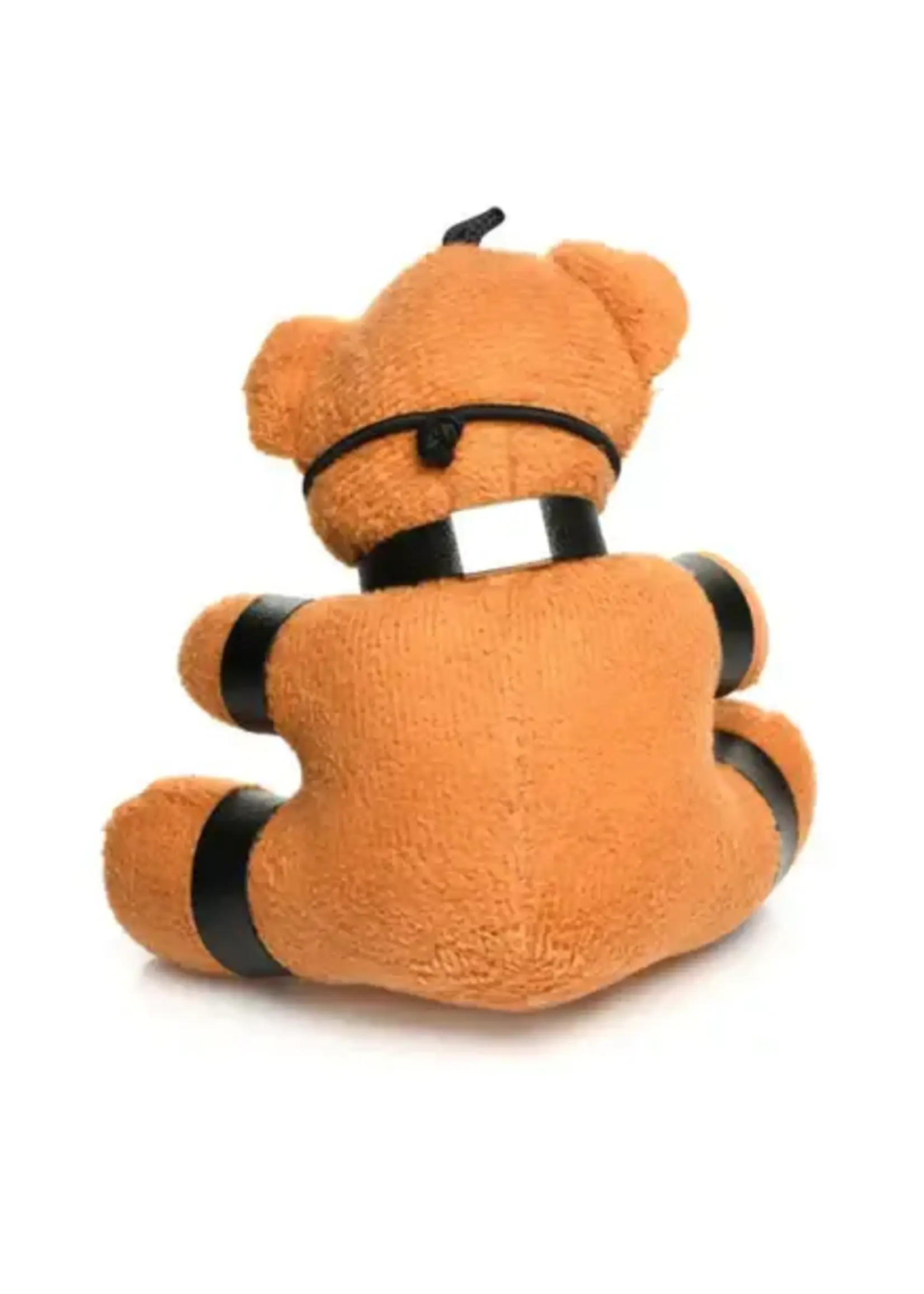 Master Series - Gagged Teddy Bear Keychain