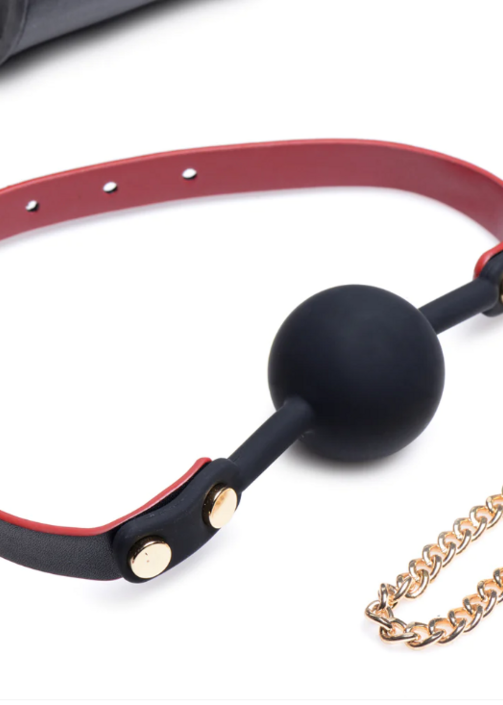 Master Series Bondage To Go Bondage Kit with Carry Case