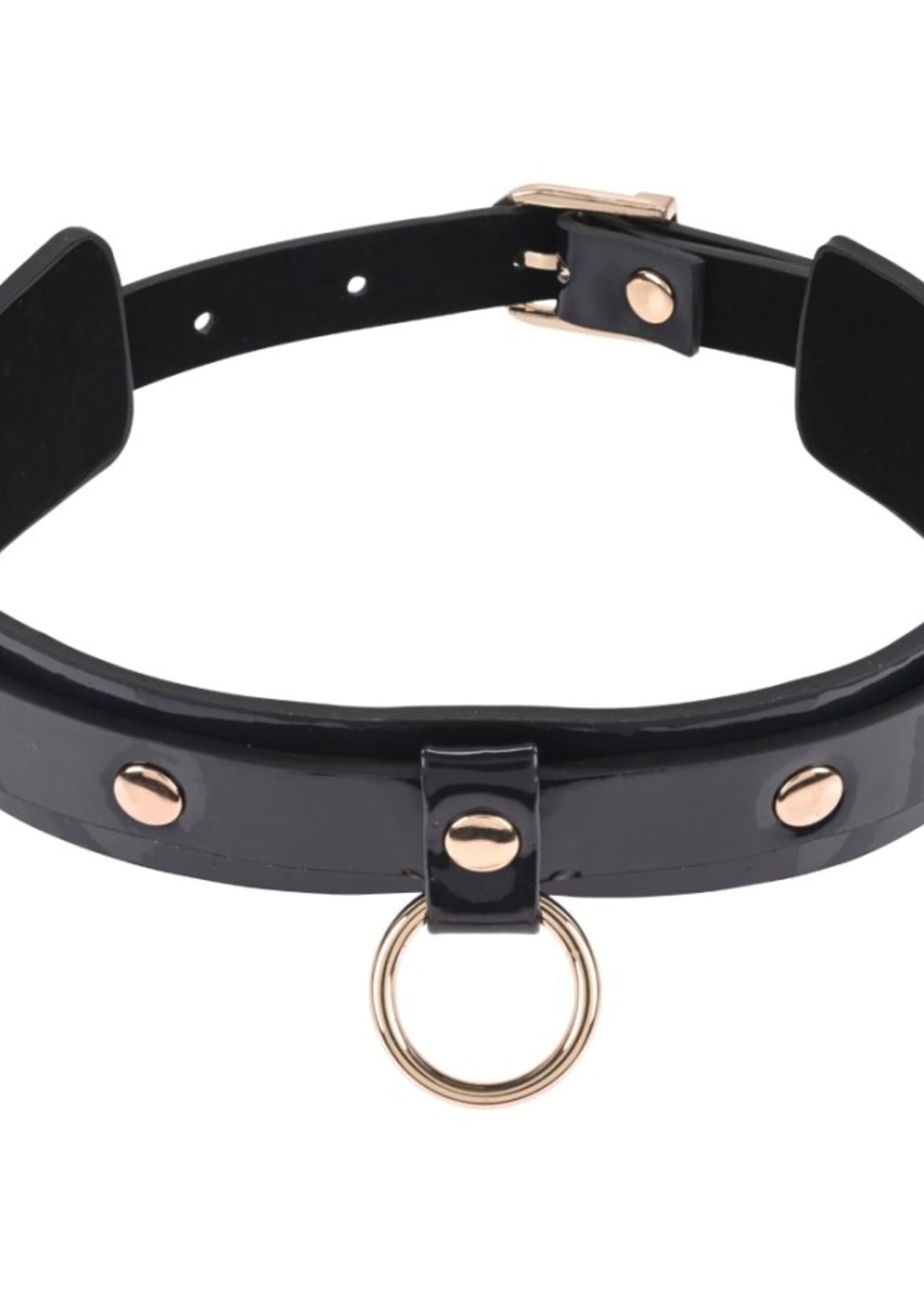 Sportsheets Sportsheets - S&M Orbit Day Collar