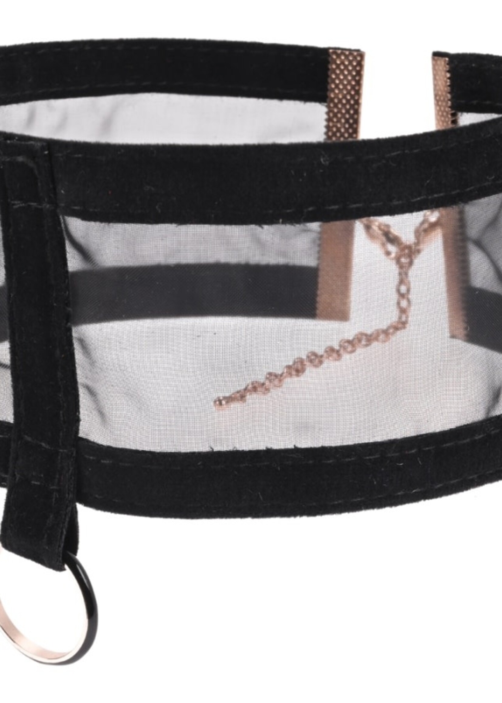 Sportsheets - S&M Sheer Day Collar