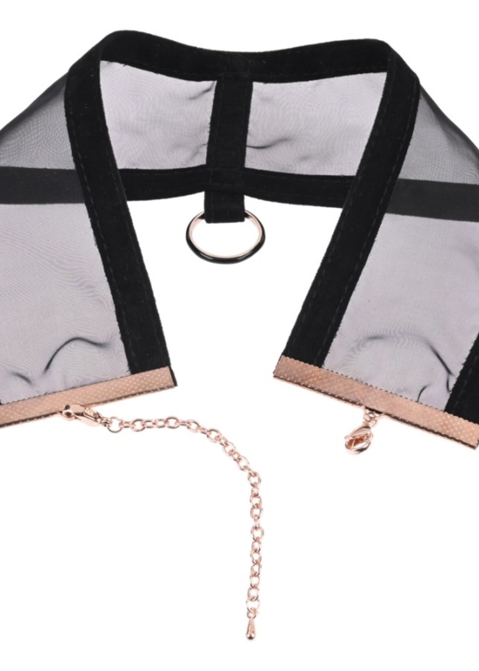 Sportsheets - S&M Sheer Day Collar