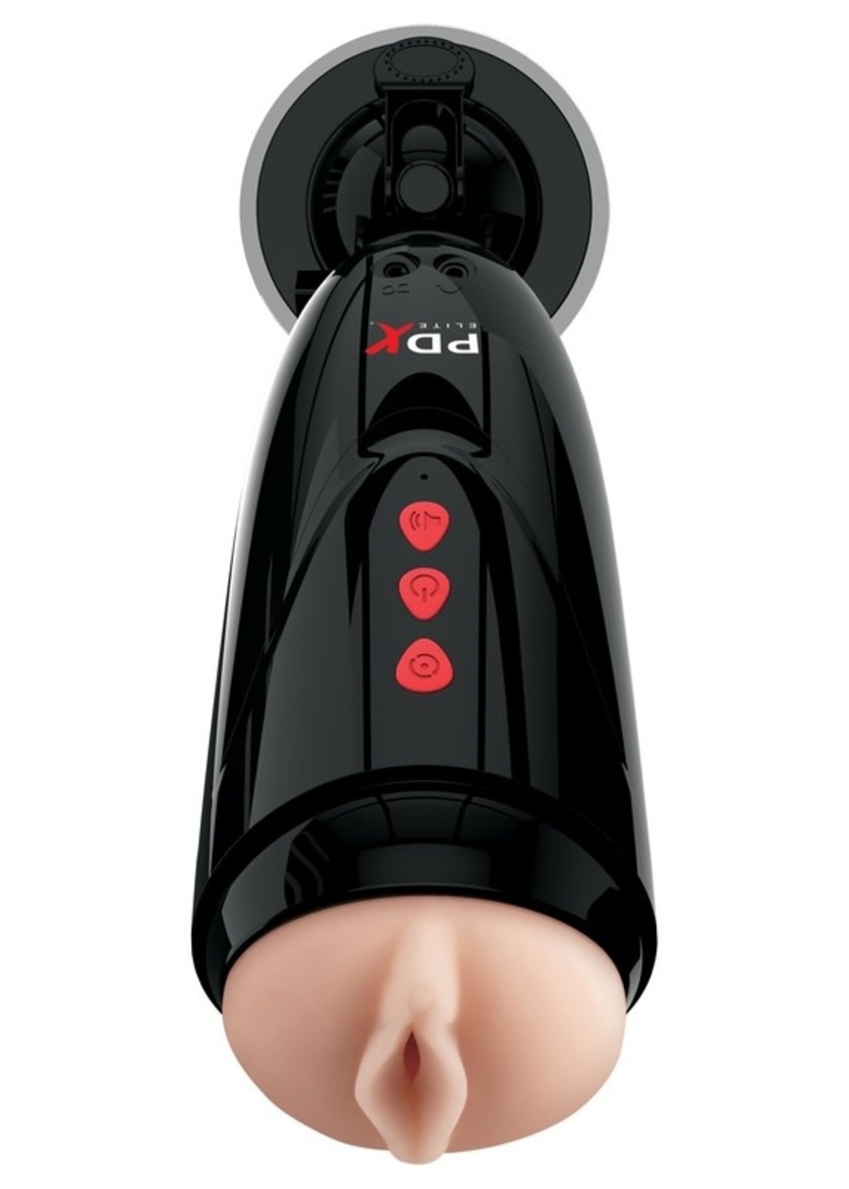 PDX Elite Dirty Talk Starter Stroker