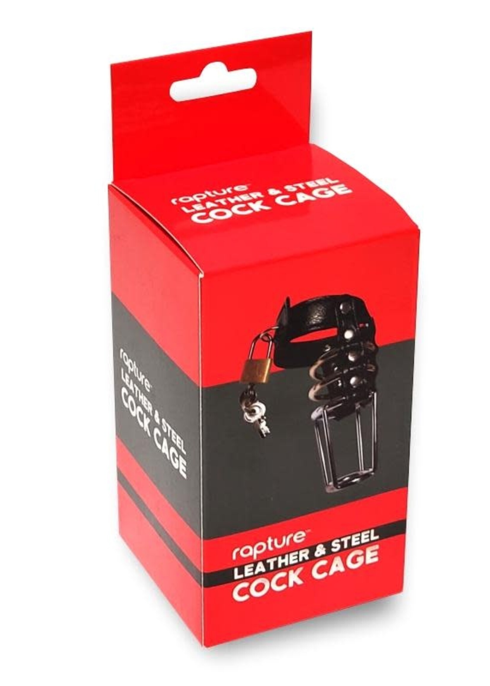 Leather & Steel Cock Cage