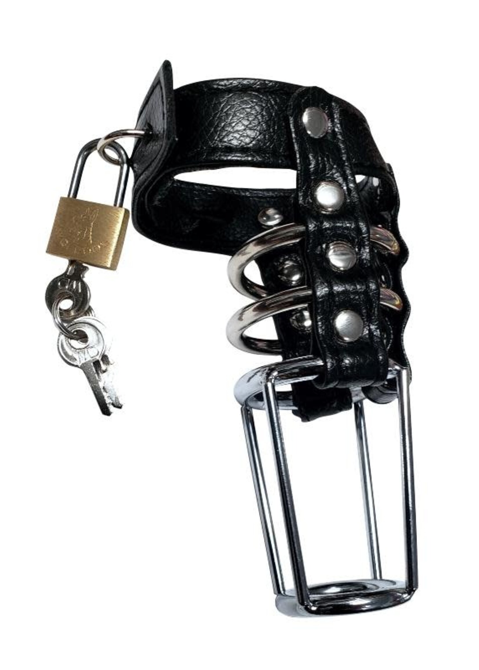 Leather & Steel Cock Cage
