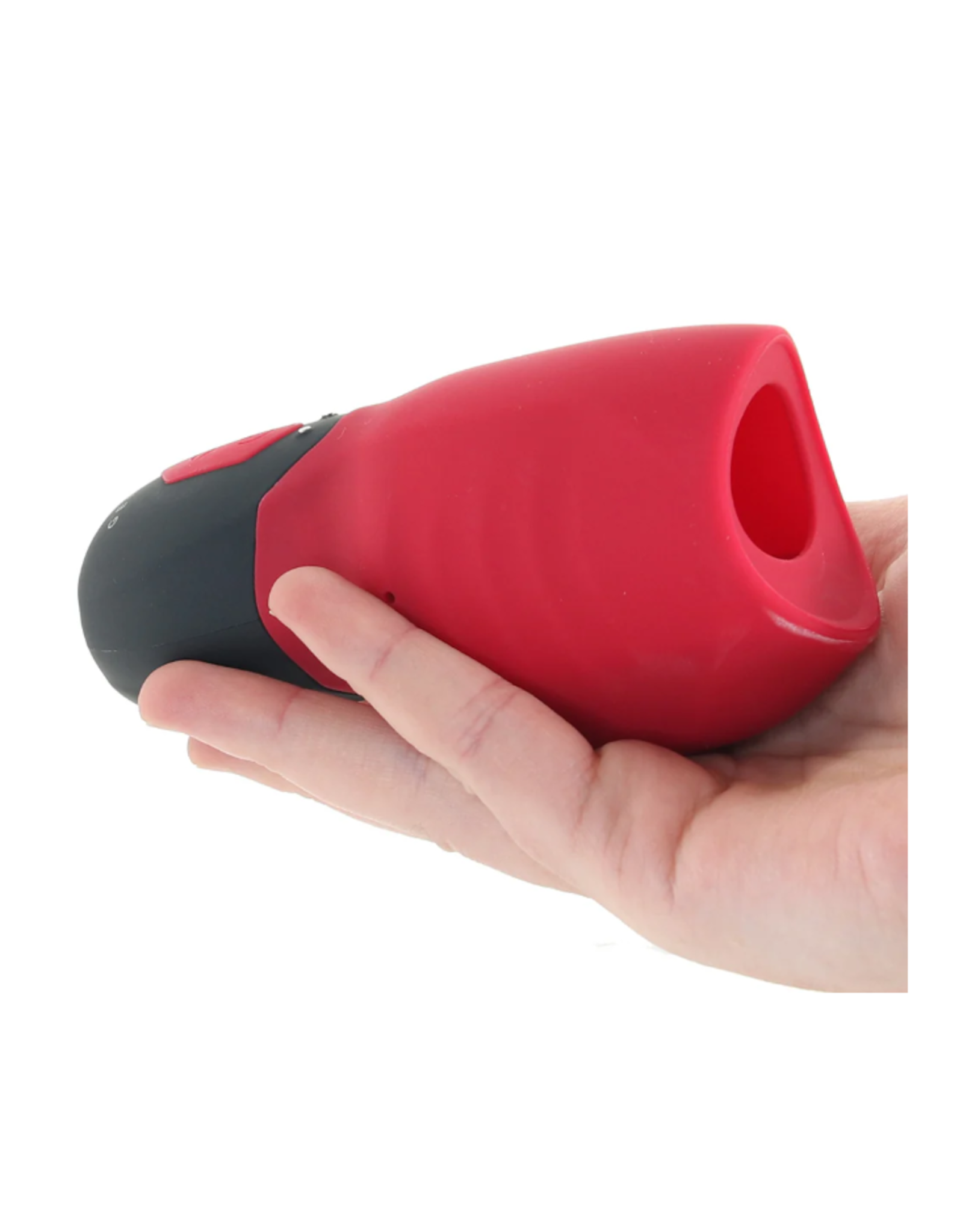 Gender X Gender X - Body Kisses