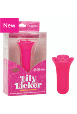 Calexotics Naught Bits Lily Licker