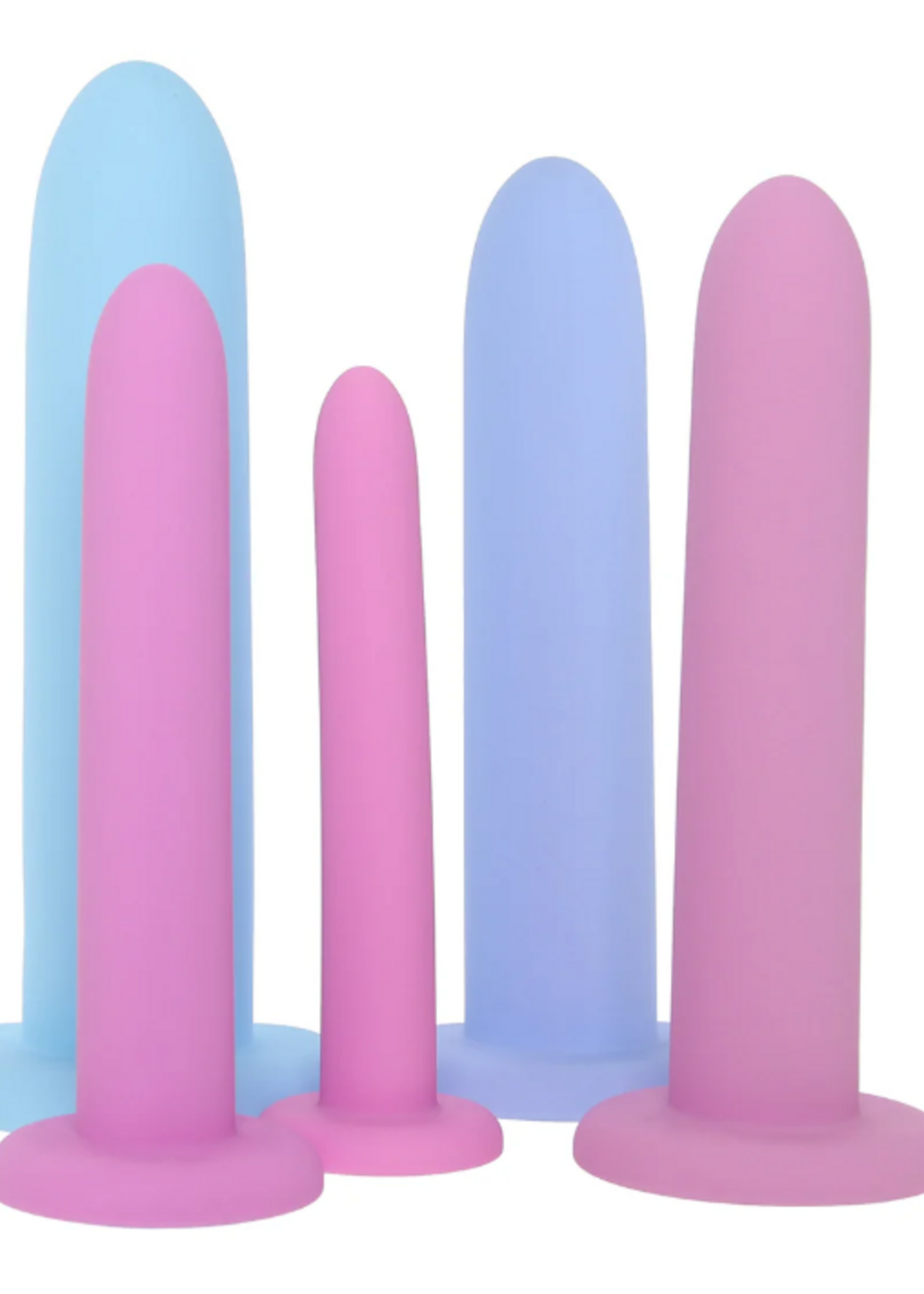 Passion Silicone Pelvic Dilator and Kegal Set