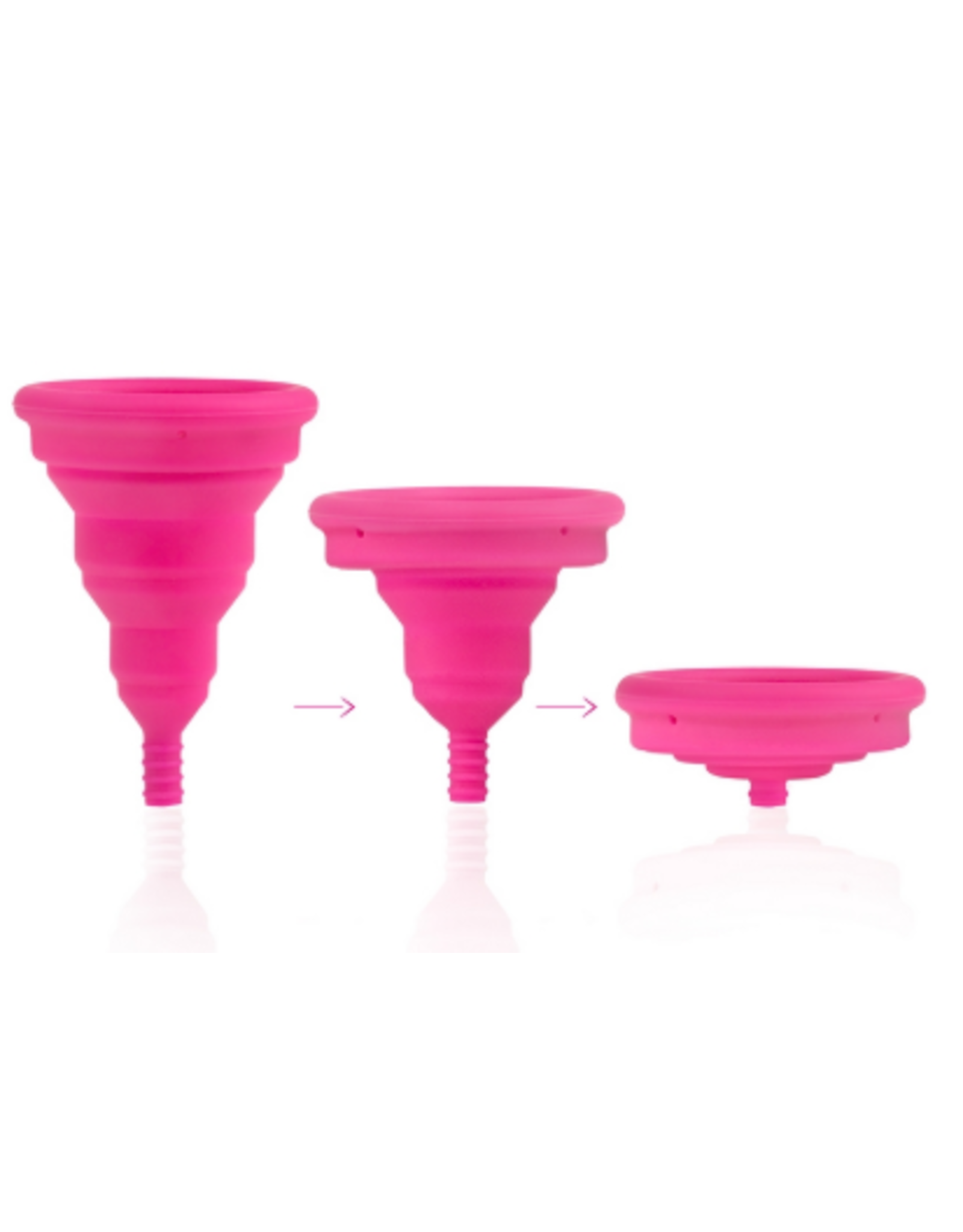 Intima Lily Cup Compact Size B