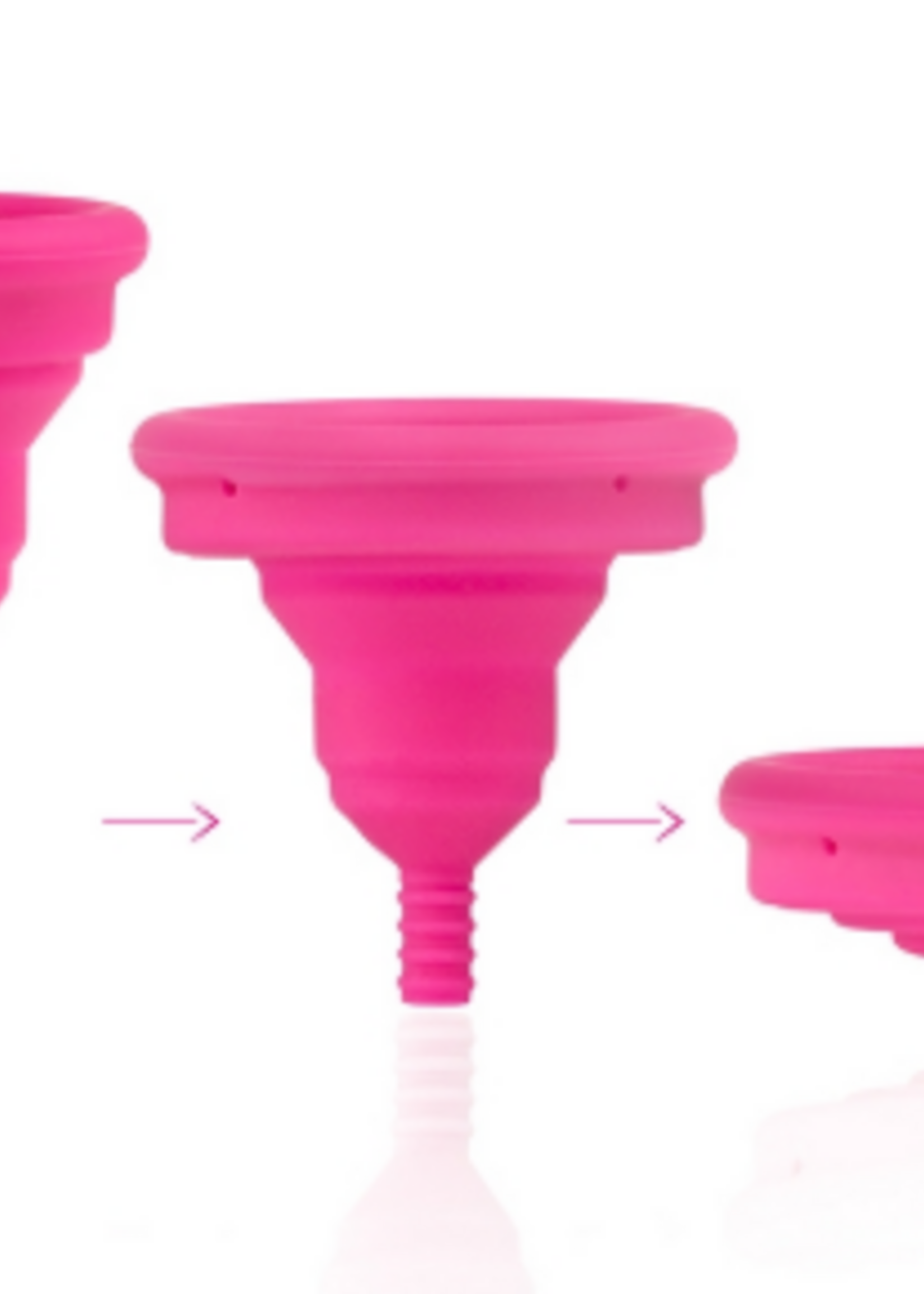 Intima Lily Cup Compact Size B