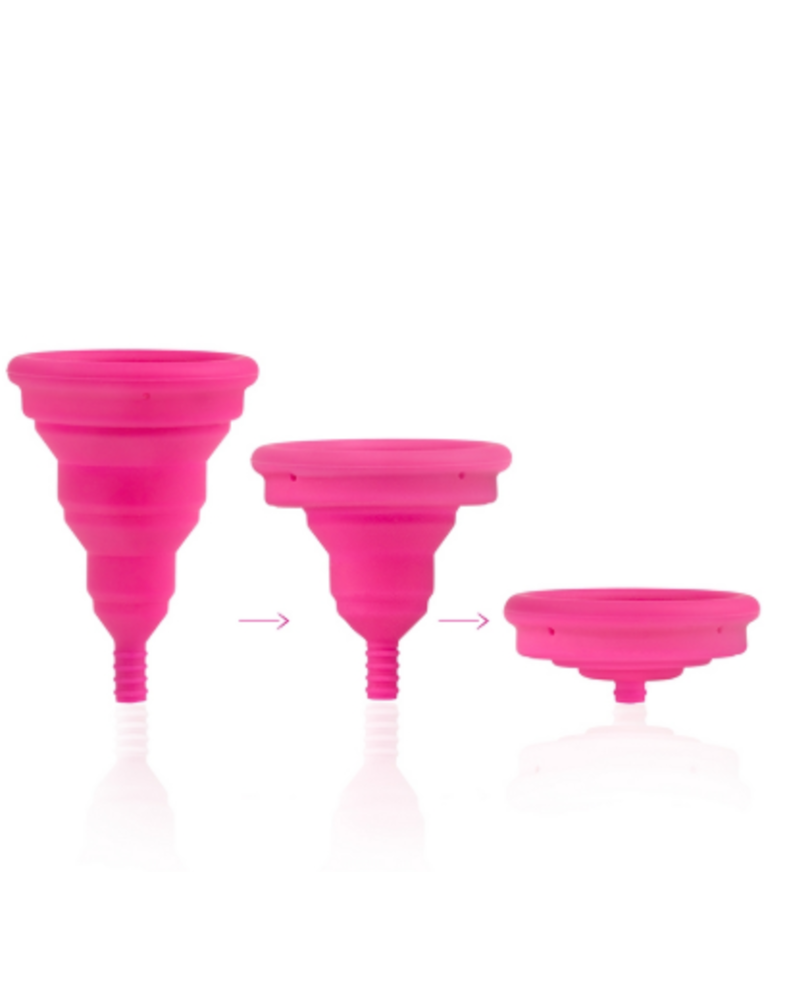 Intima Lily Cup Compact Size B