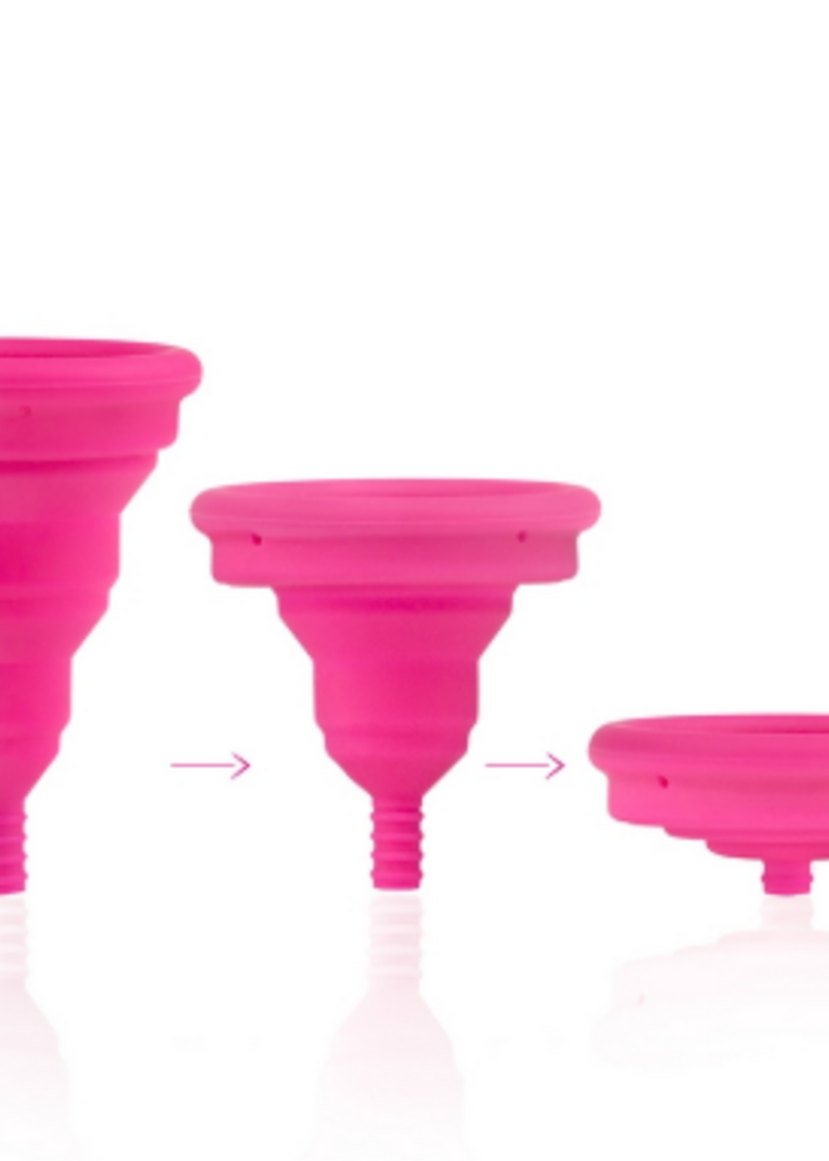 Intima Lily Cup Compact Size B