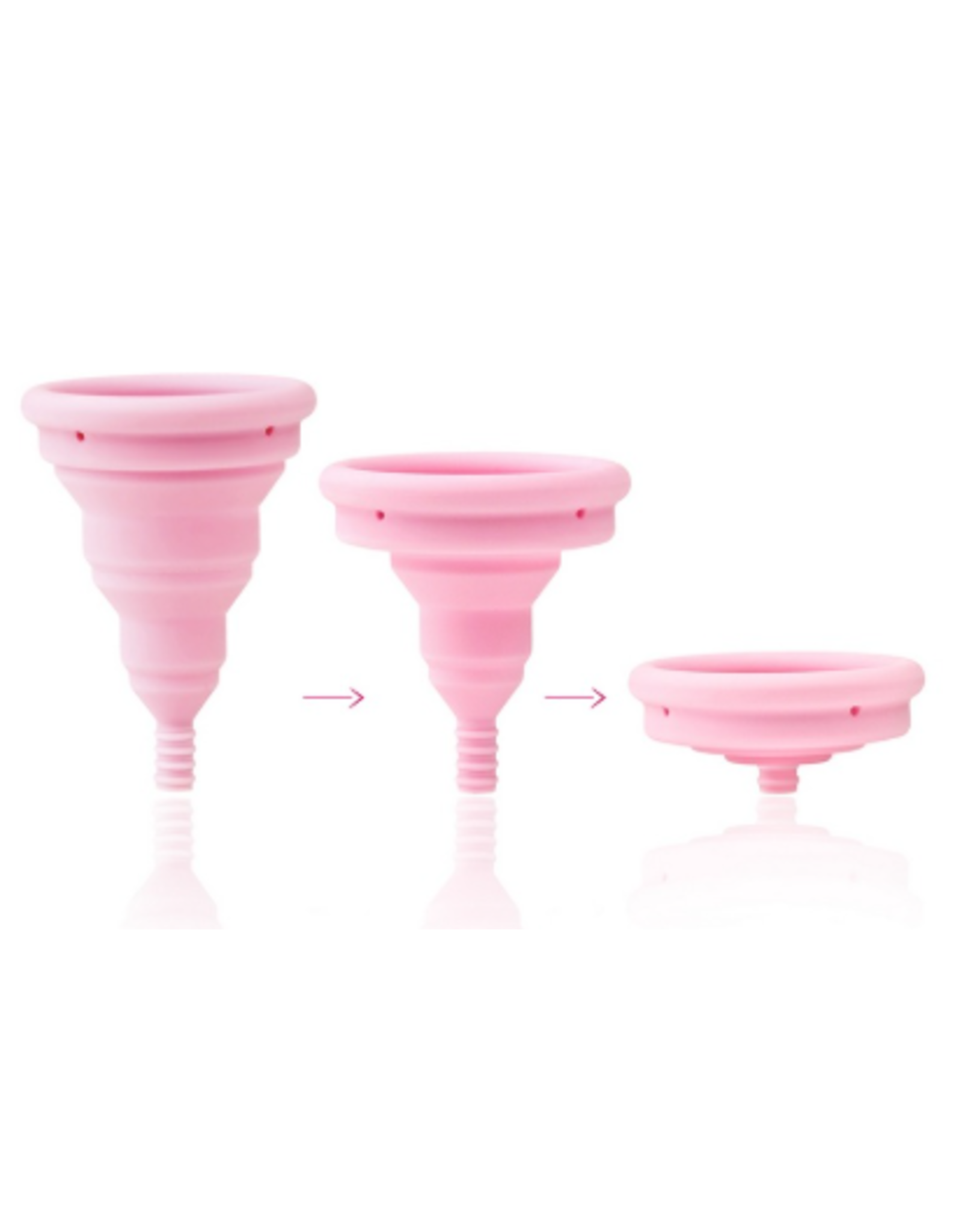 Intima Lily Cup Compact Size A