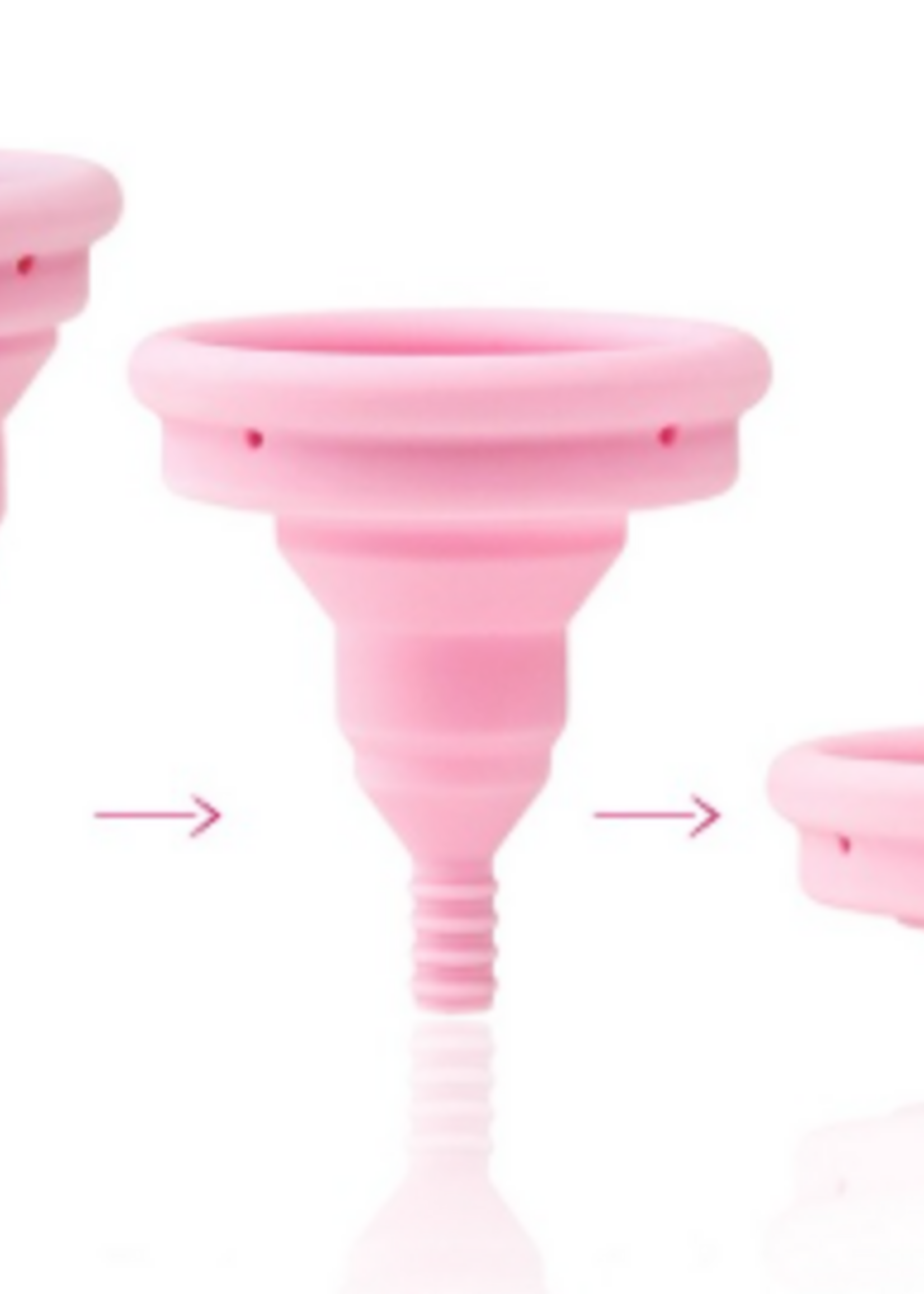 Intima Lily Cup Compact Size A