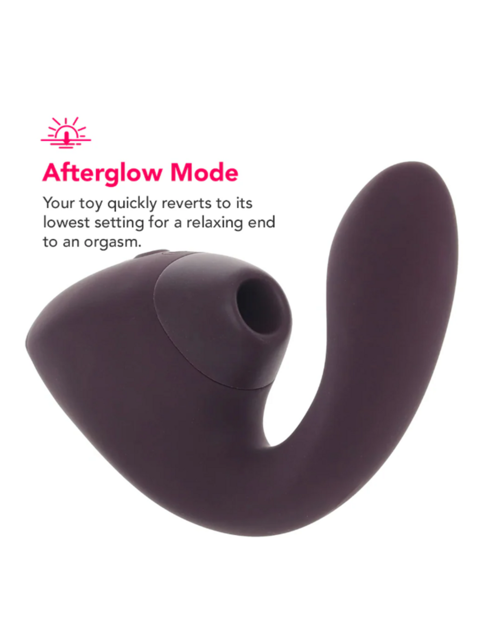 Womanizer Womanizer Next Duo - Dark Purple