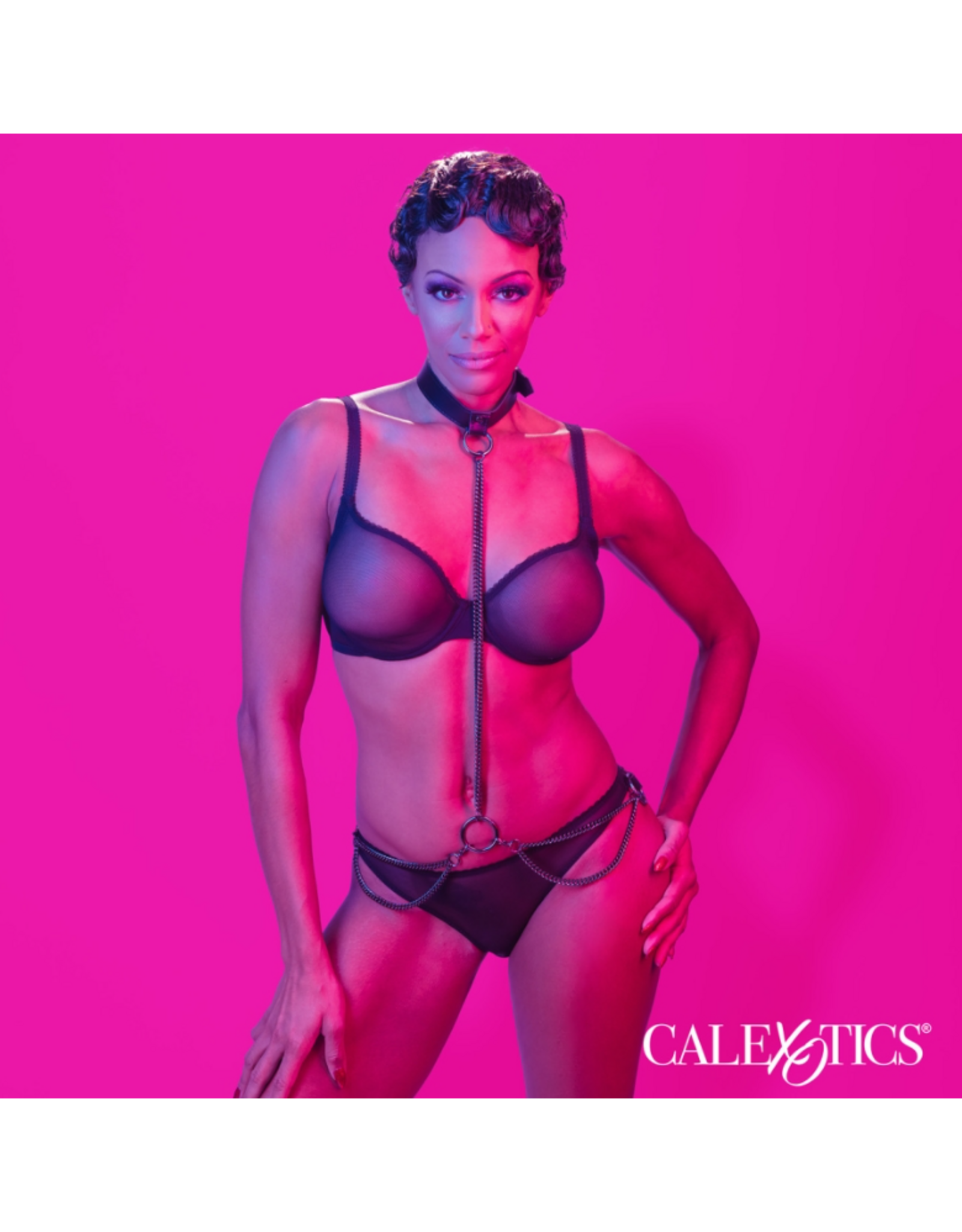 Calexotics Euphoria Collection - Chain Halter/Collar & Leash