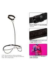 Calexotics Euphoria Collection - Chain Halter/Collar & Leash
