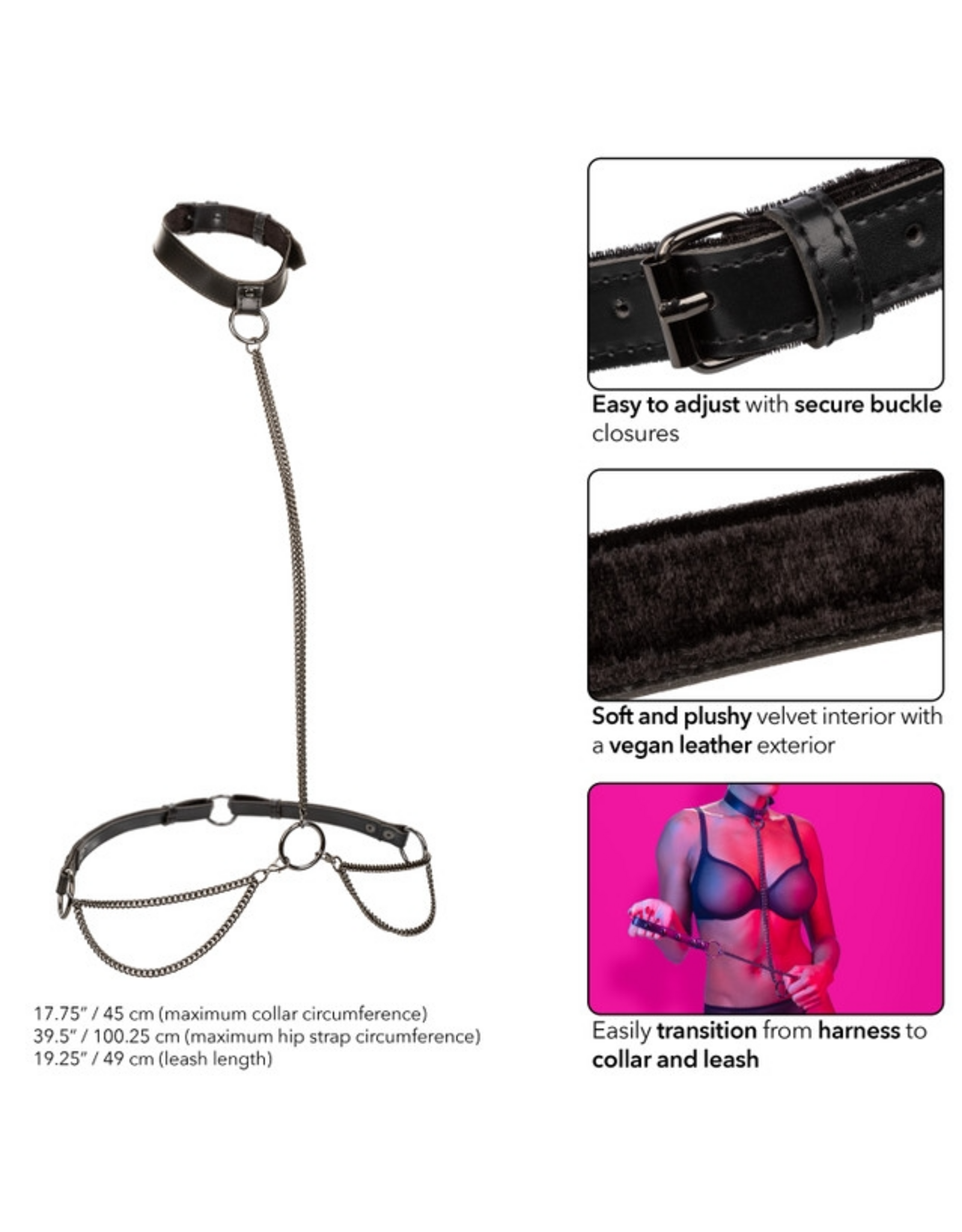 Calexotics Euphoria Collection - Chain Halter/Collar & Leash