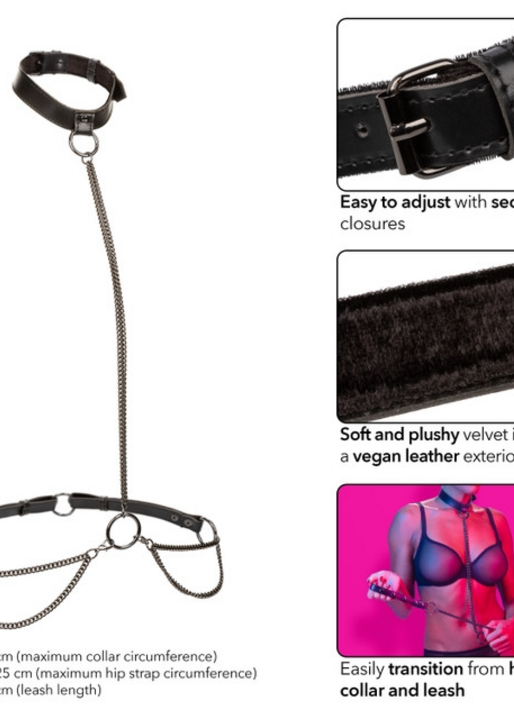 Calexotics Euphoria Collection - Chain Halter/Collar & Leash