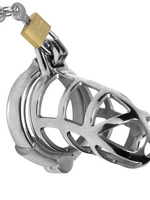 Detained Stainless Steel Chastity Cage