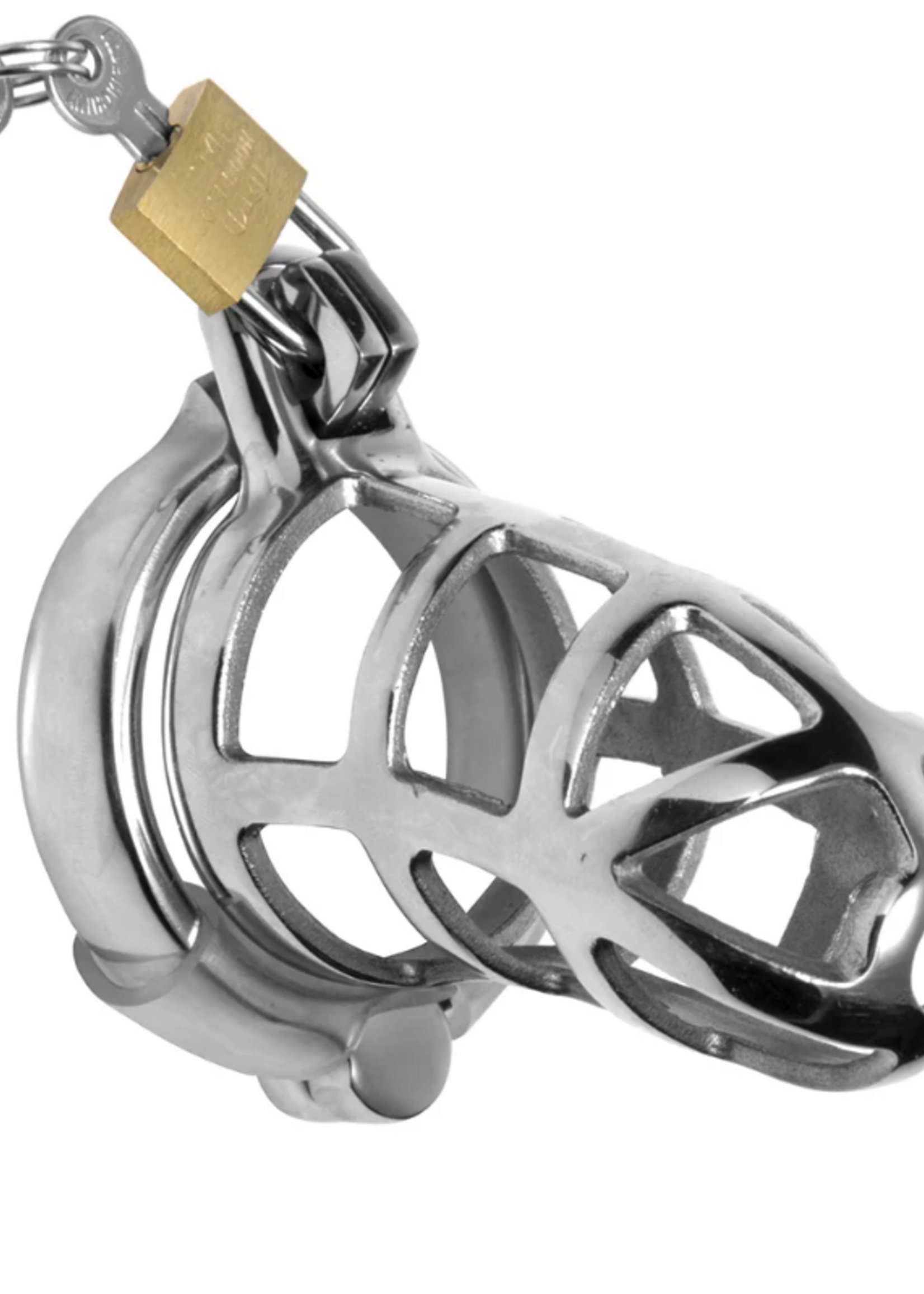 Detained Stainless Steel Chastity Cage