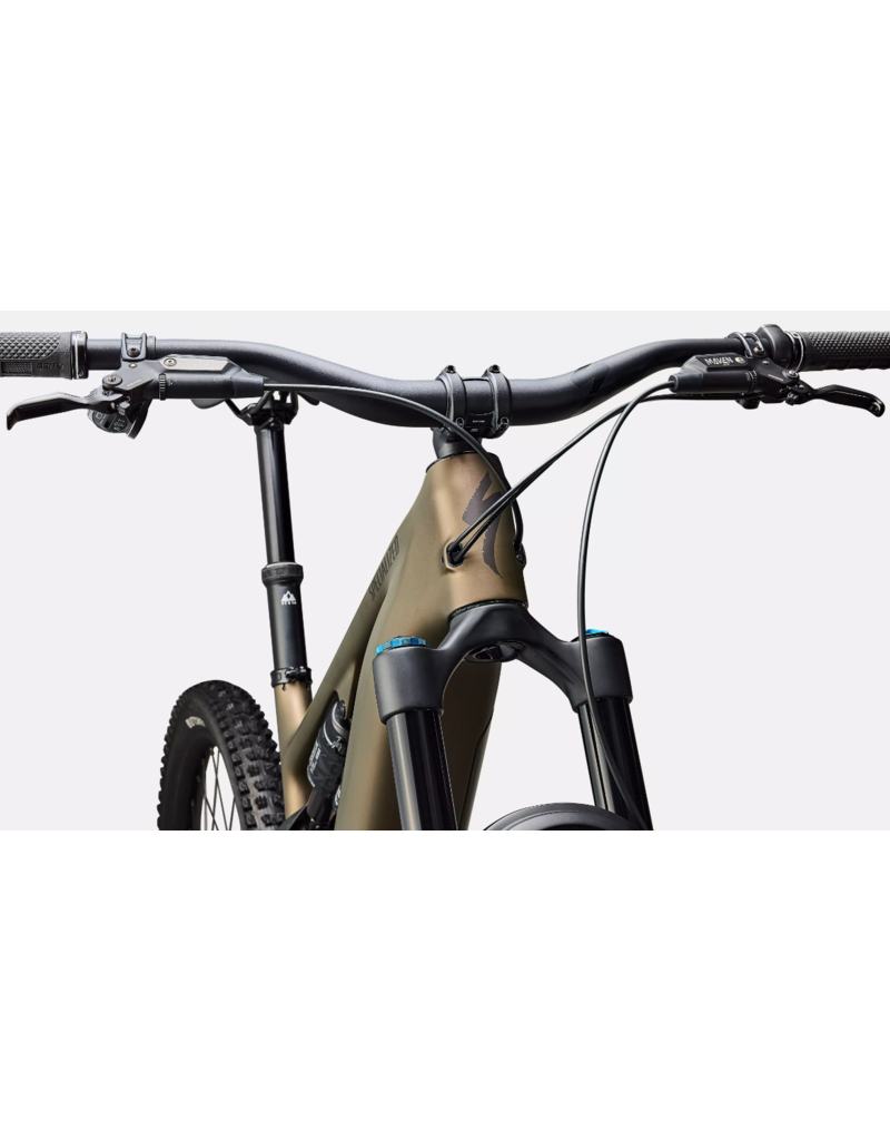 Specialized Specialized Turbo Levo 4 Expert Satin Burnt Gold Metallic