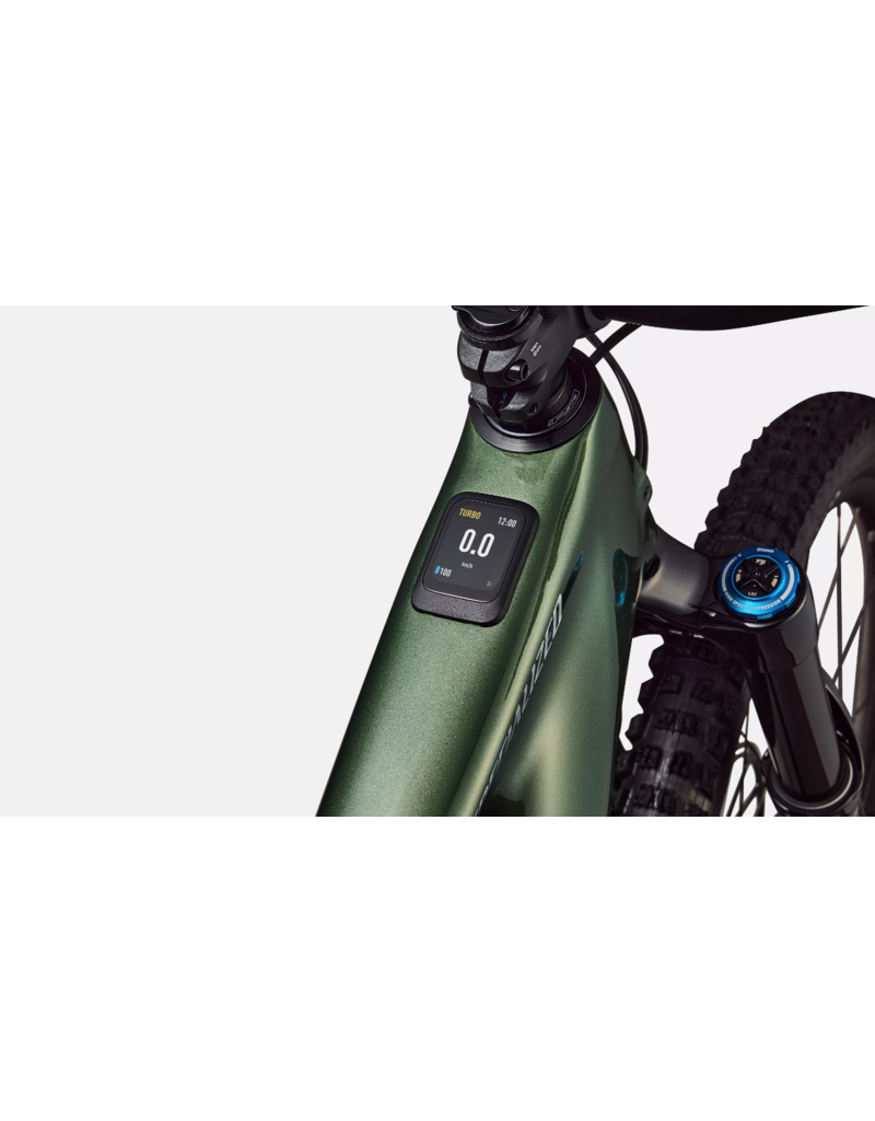 Specialized Specialized Turbo Levo 4 Expert Cypress Green Metallic