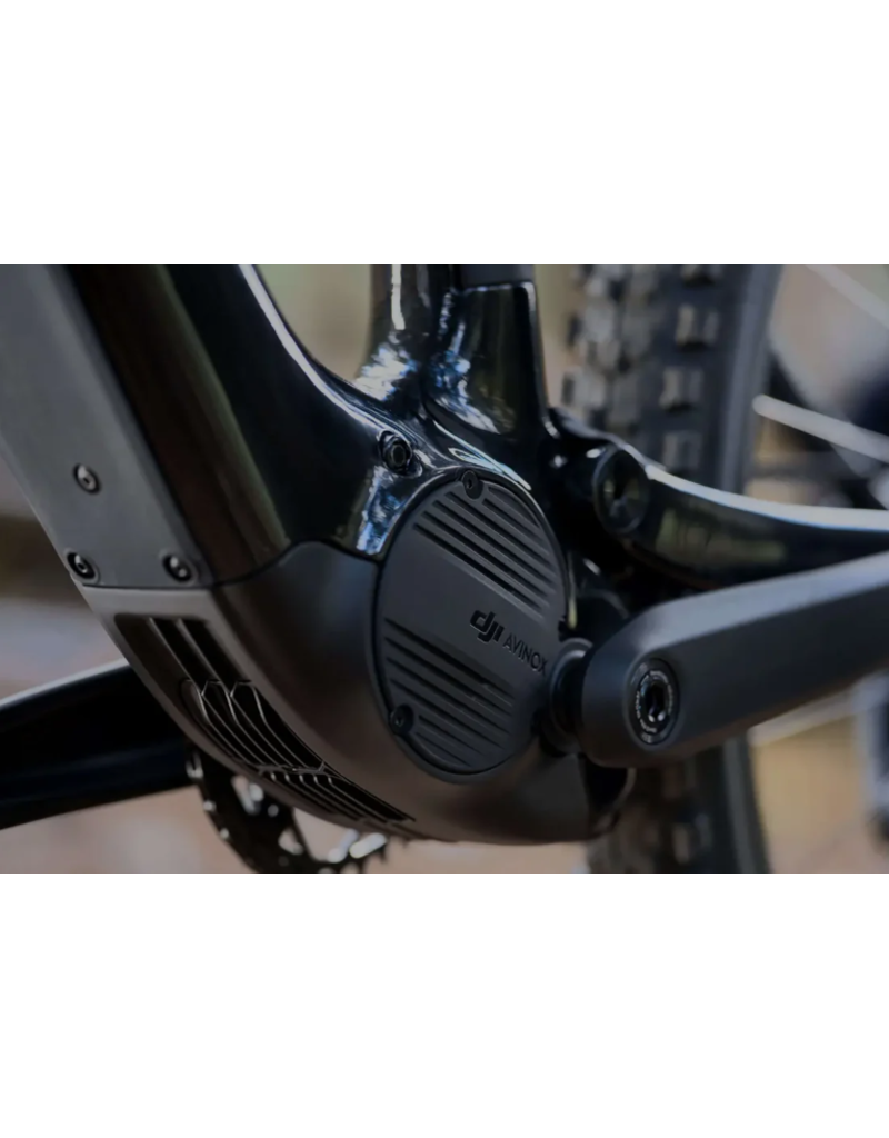 Amflow Amflow PL Carbon Pro (800Wh) Black/Gold