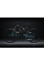 Amflow Amflow PL Carbon Pro (800Wh) Black/Gold
