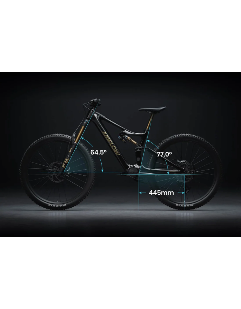 Amflow Amflow PL Carbon Pro (800Wh) Black/Gold