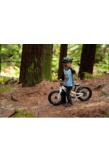 Kids Ride Shotgun Kids Ride Shotgun Dirt Hero Balance Bike 14"