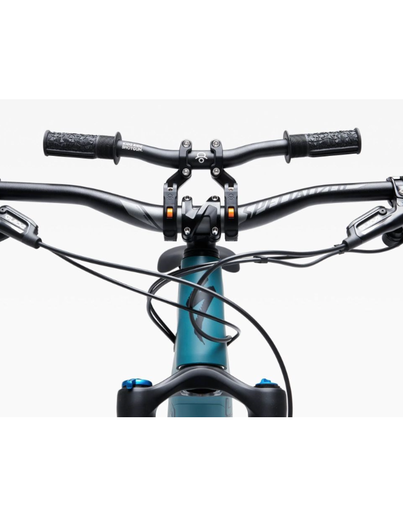 Kids Ride Shotgun Kids Ride Shotgun Pro Seat/Handlebar Combo