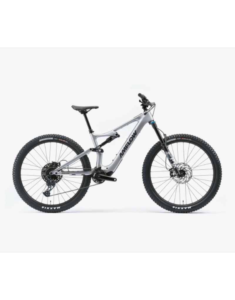 Amflow Amflow PL Carbon (800Wh) Silver